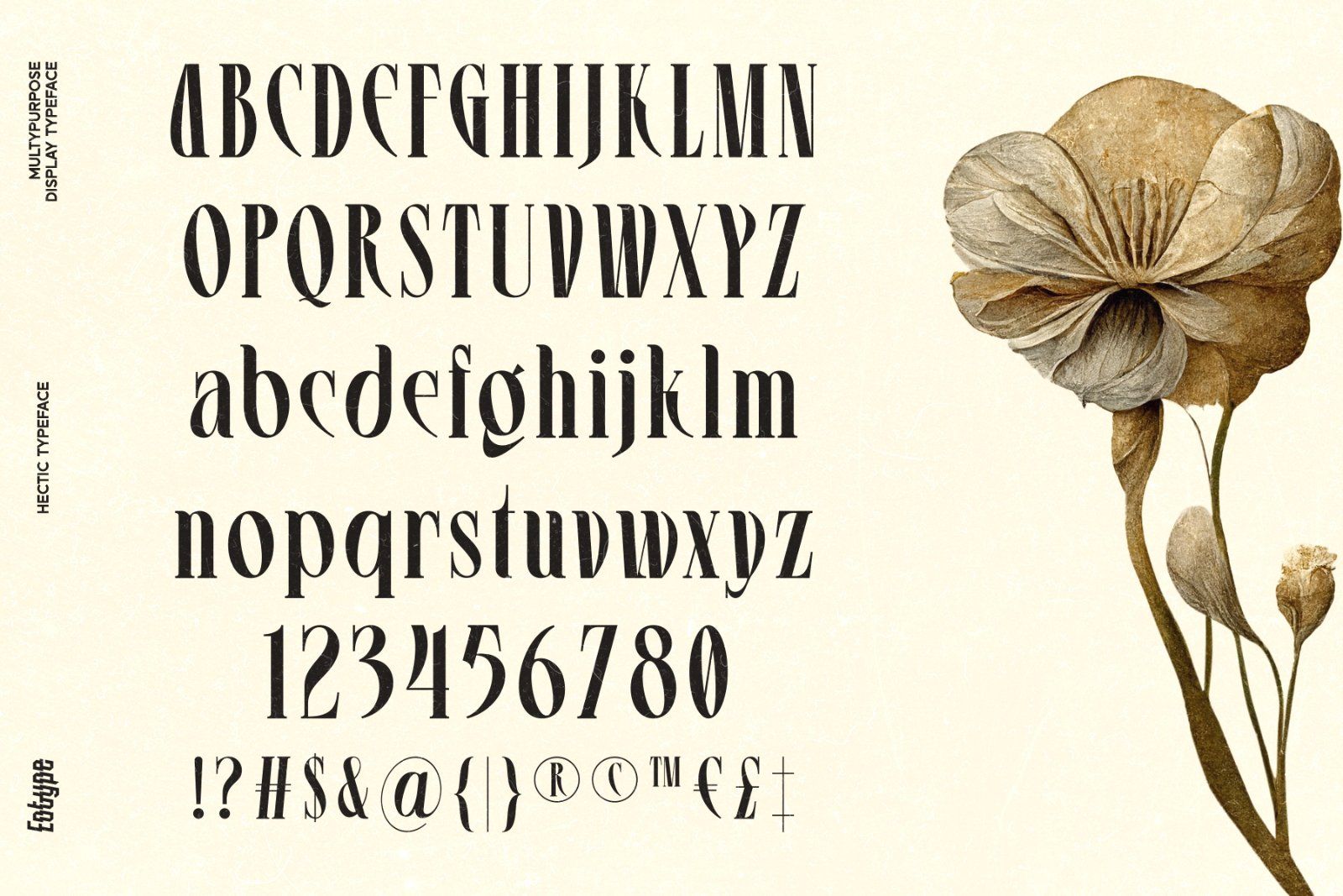 Hectic Font