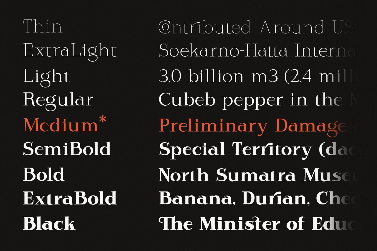 Rodest - Font Family — image 4