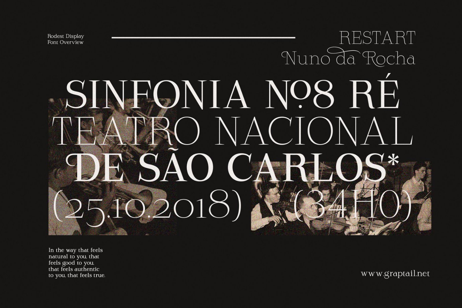 Rodest - Font Family — image 12
