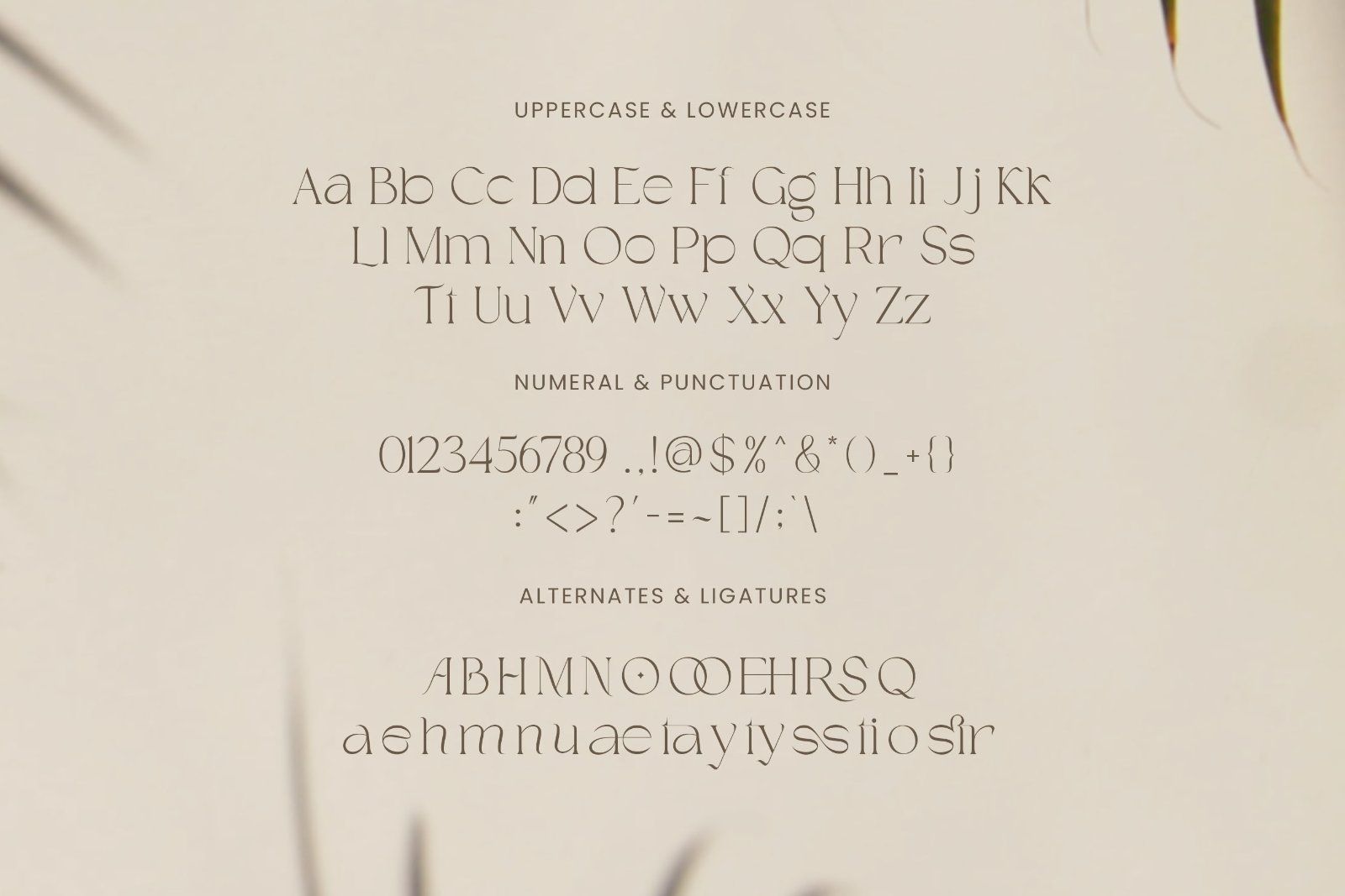 Chestra - Elegant Display Serif Font — image 9