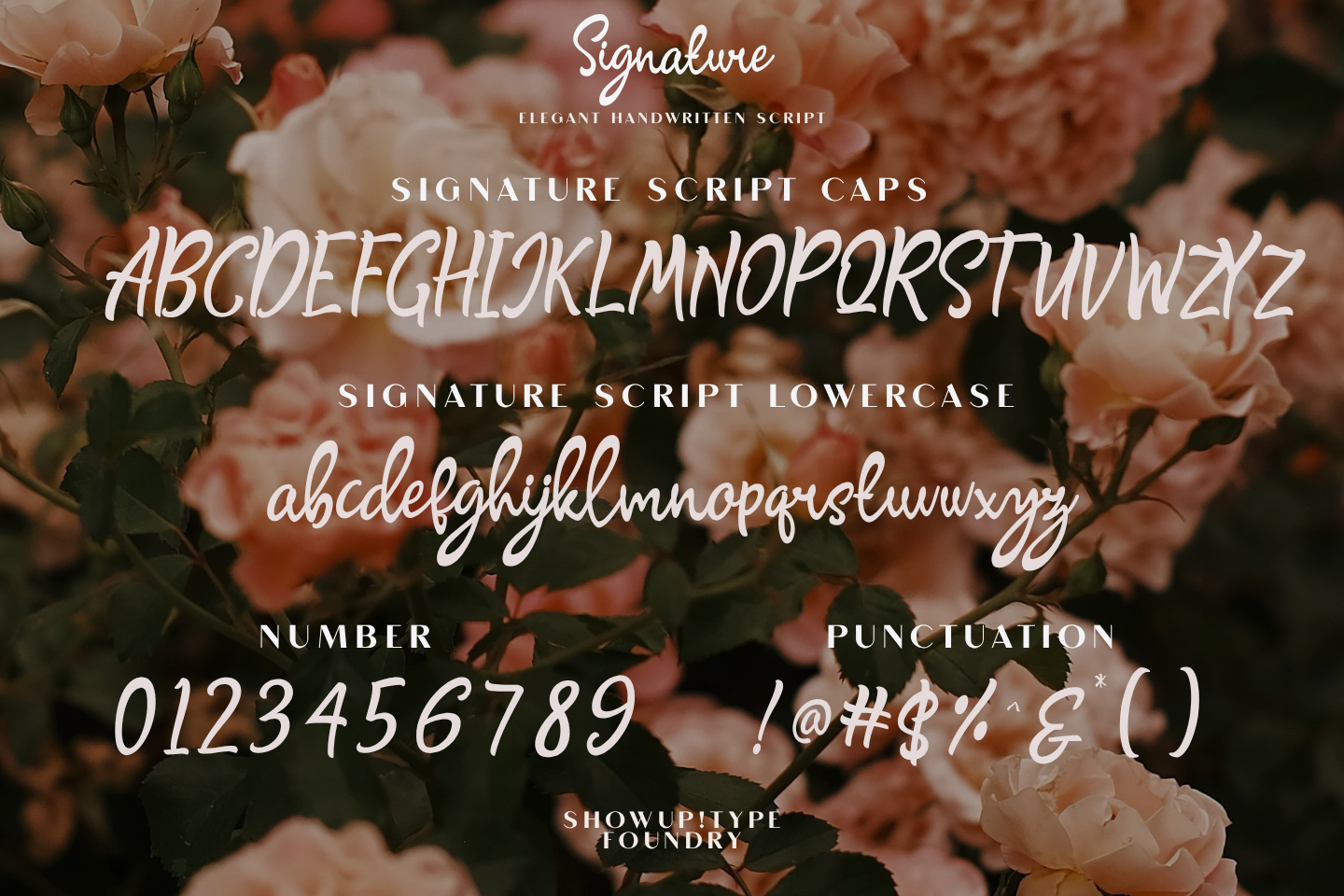 Signature Script — image 7