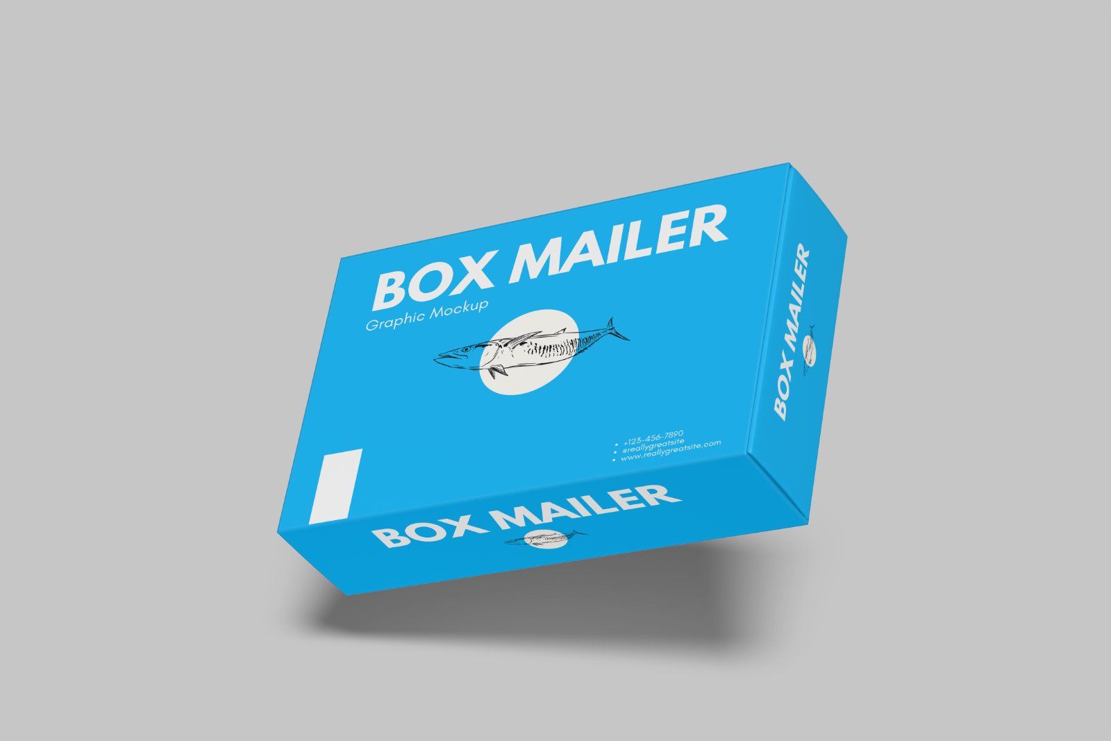 Mailer Box Mockup
