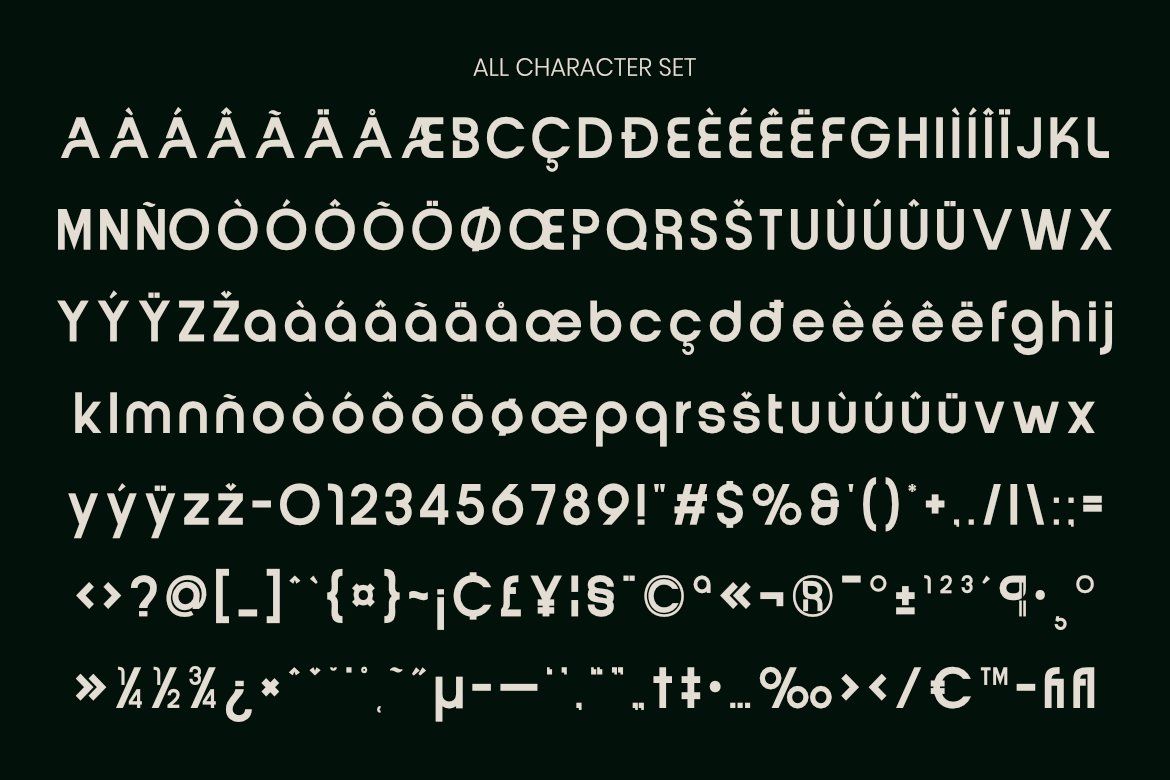 Vernosa - Contemporary Variable Sans Serif Font Family — image 7