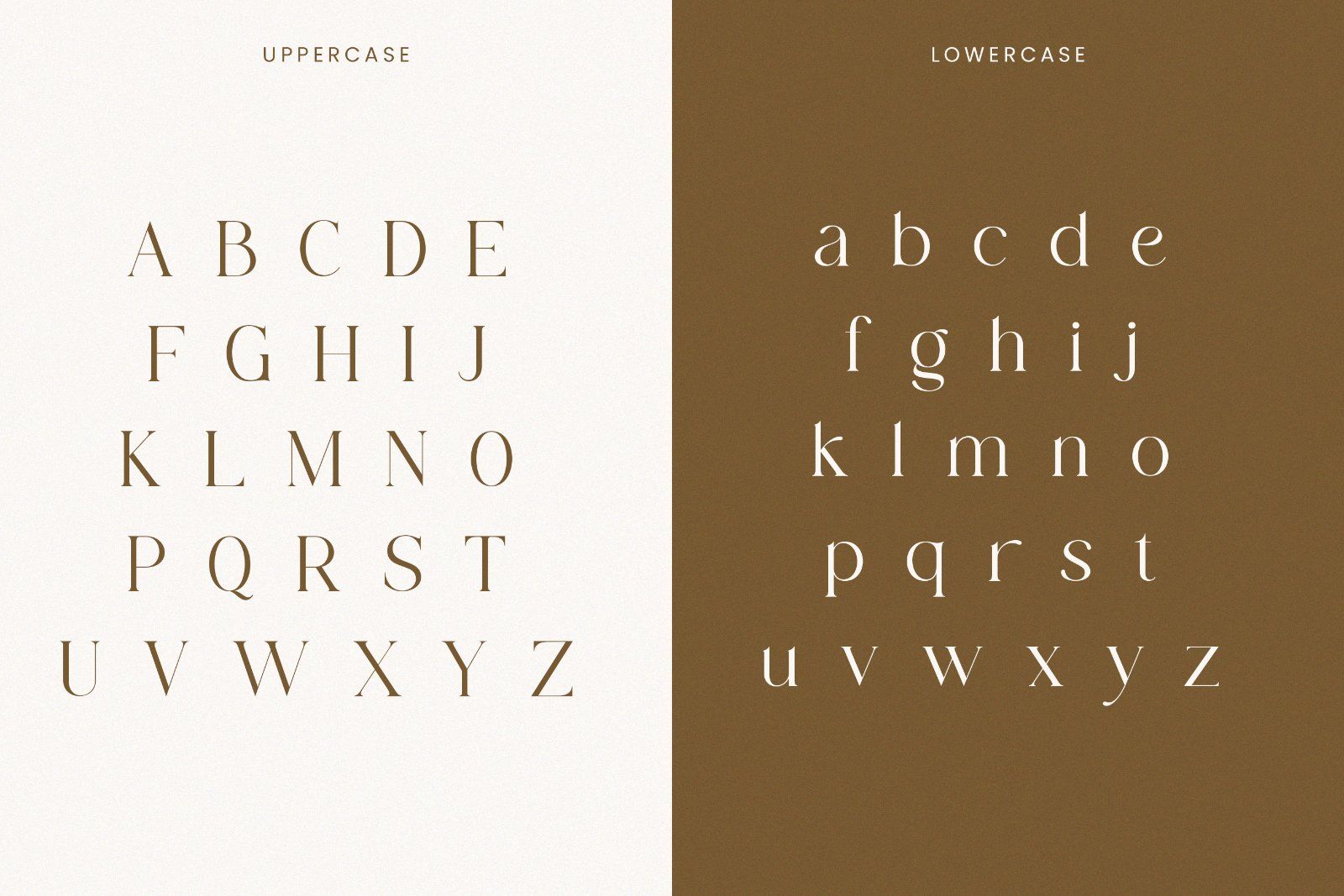 Mogan - Modern Serif Font — image 7