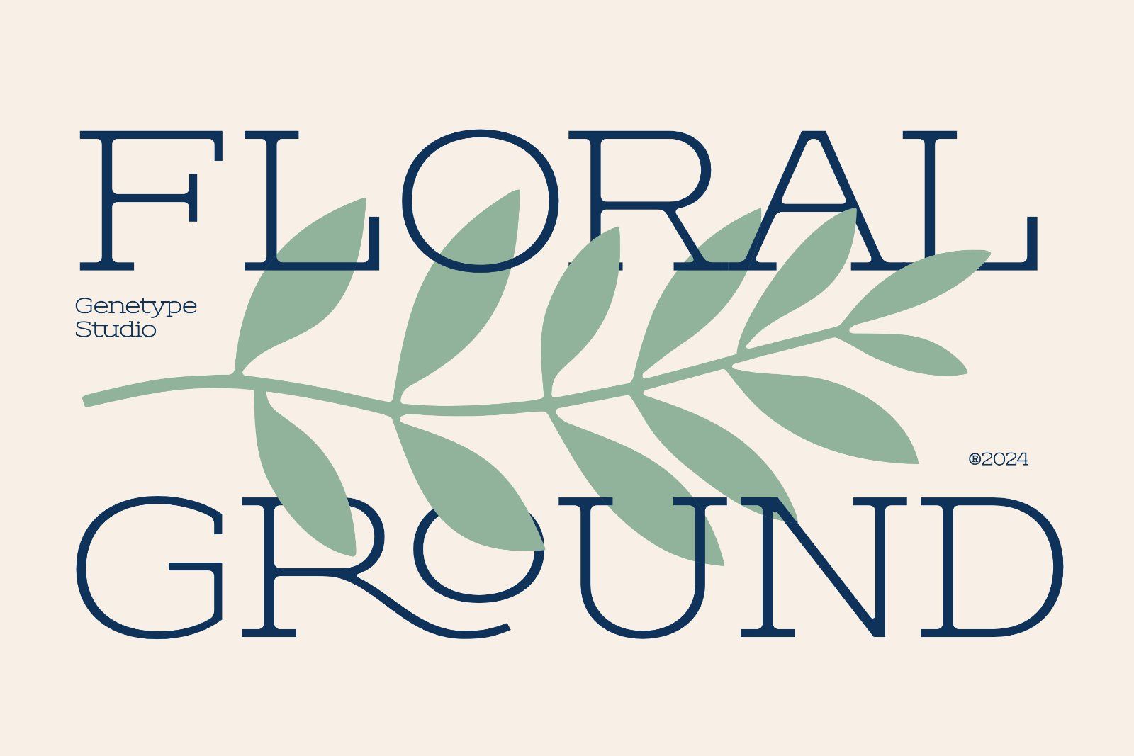 Theoris slab serif typeface