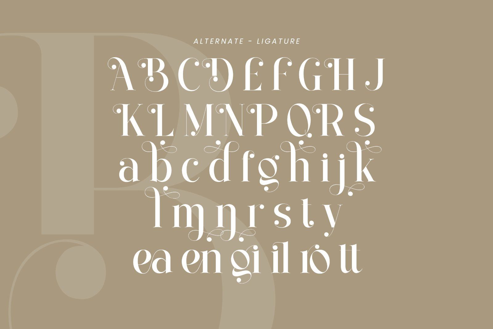 Bilgist | Modern Serif Display Font