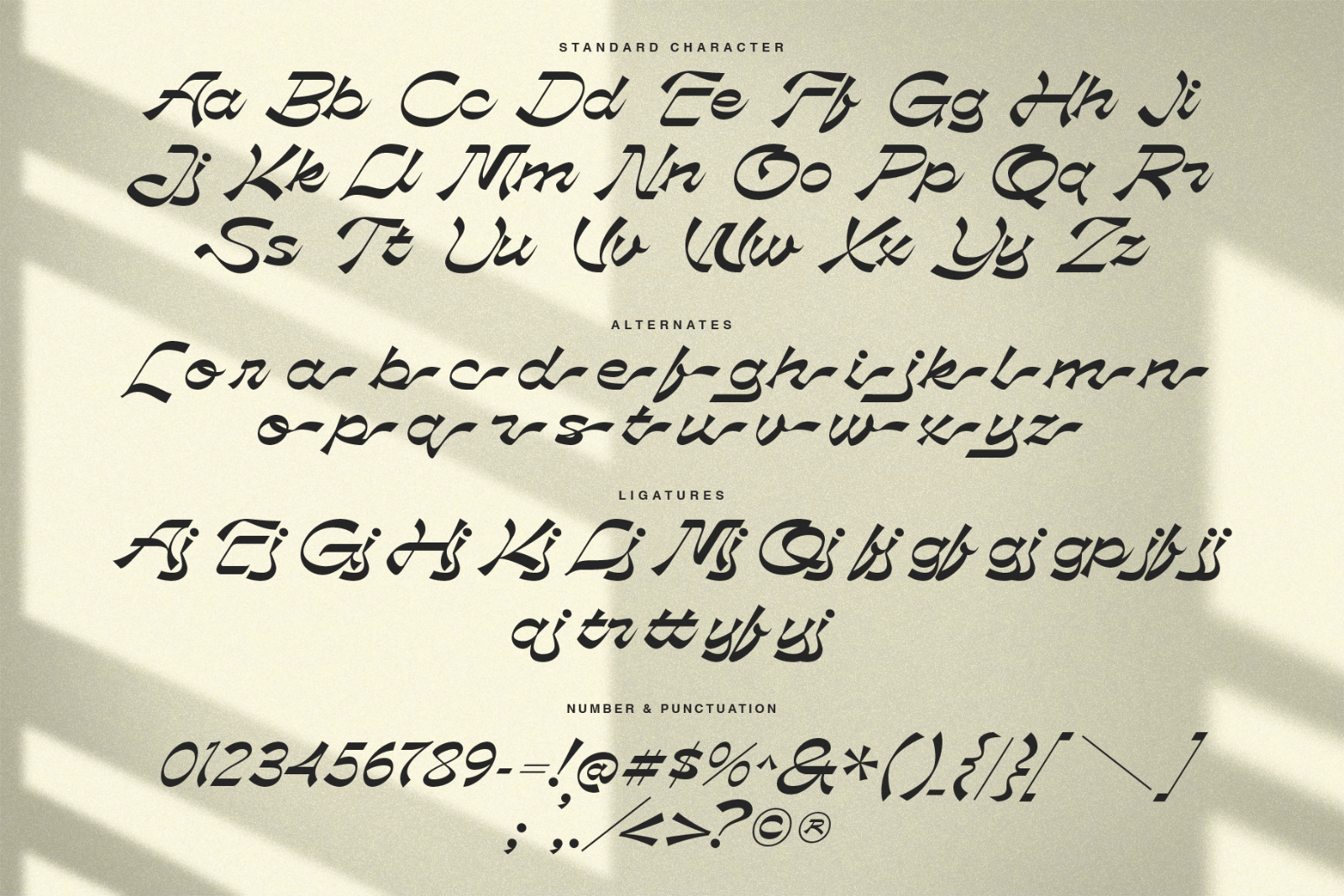 Phalarope | Reverse Contrast Script Font — image 7