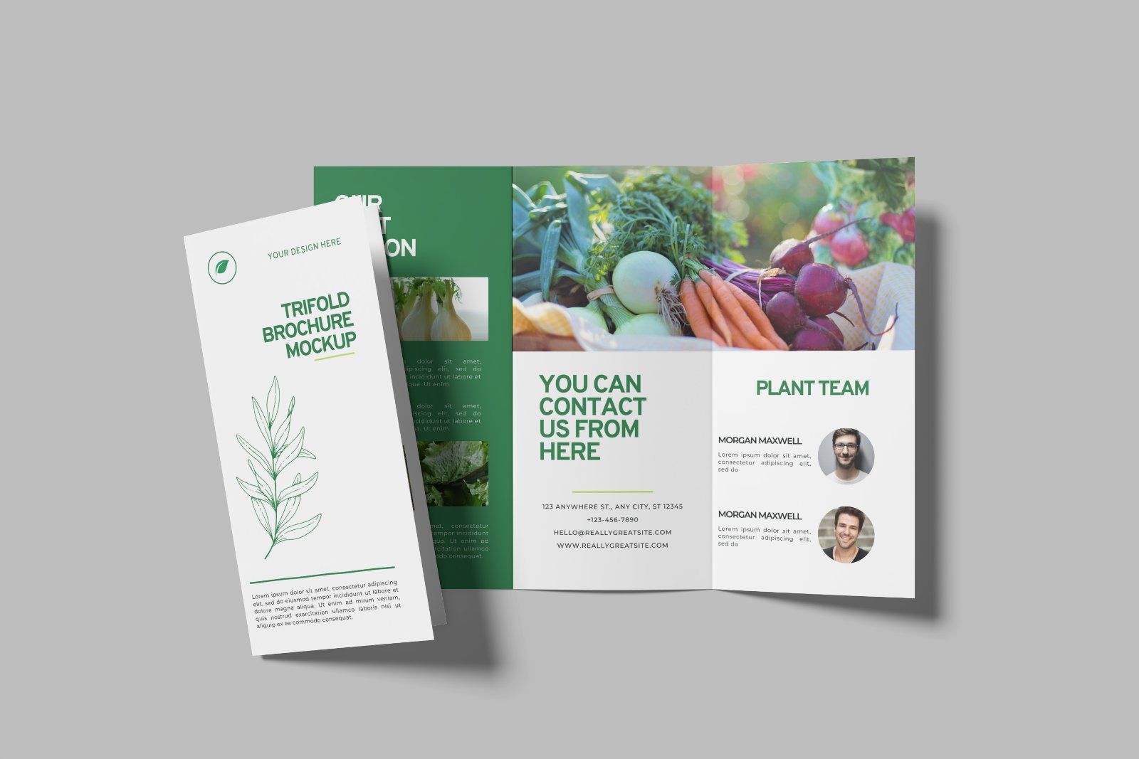 Trifold Brochure Mockup — image 7