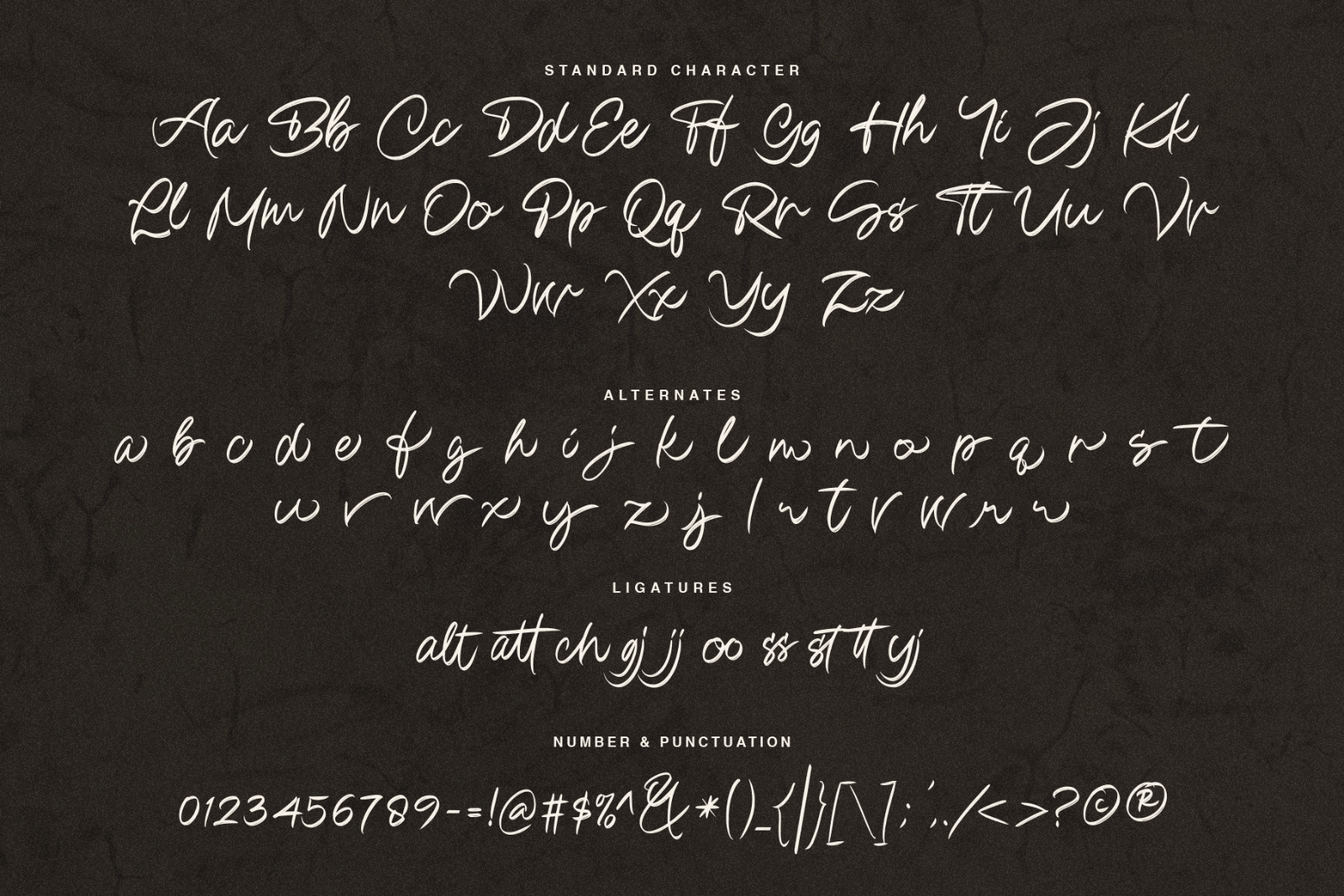 Madison Bright | Handwritten Vintage Brush Font — image 7