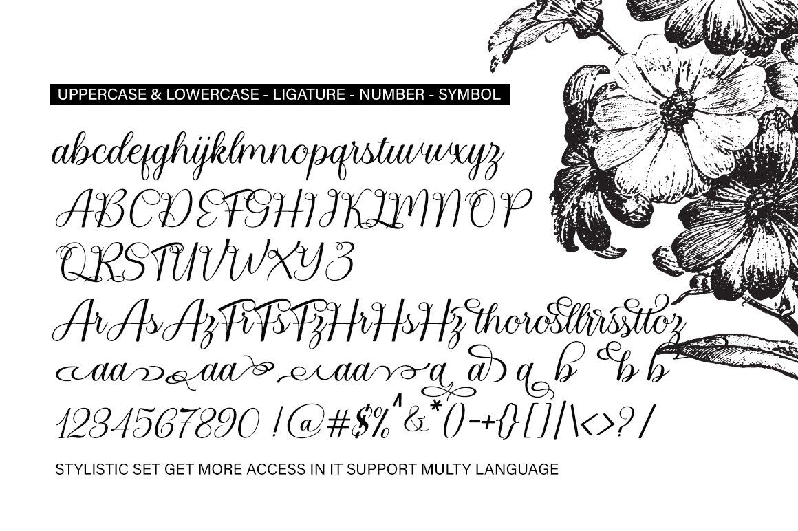Bailies Script