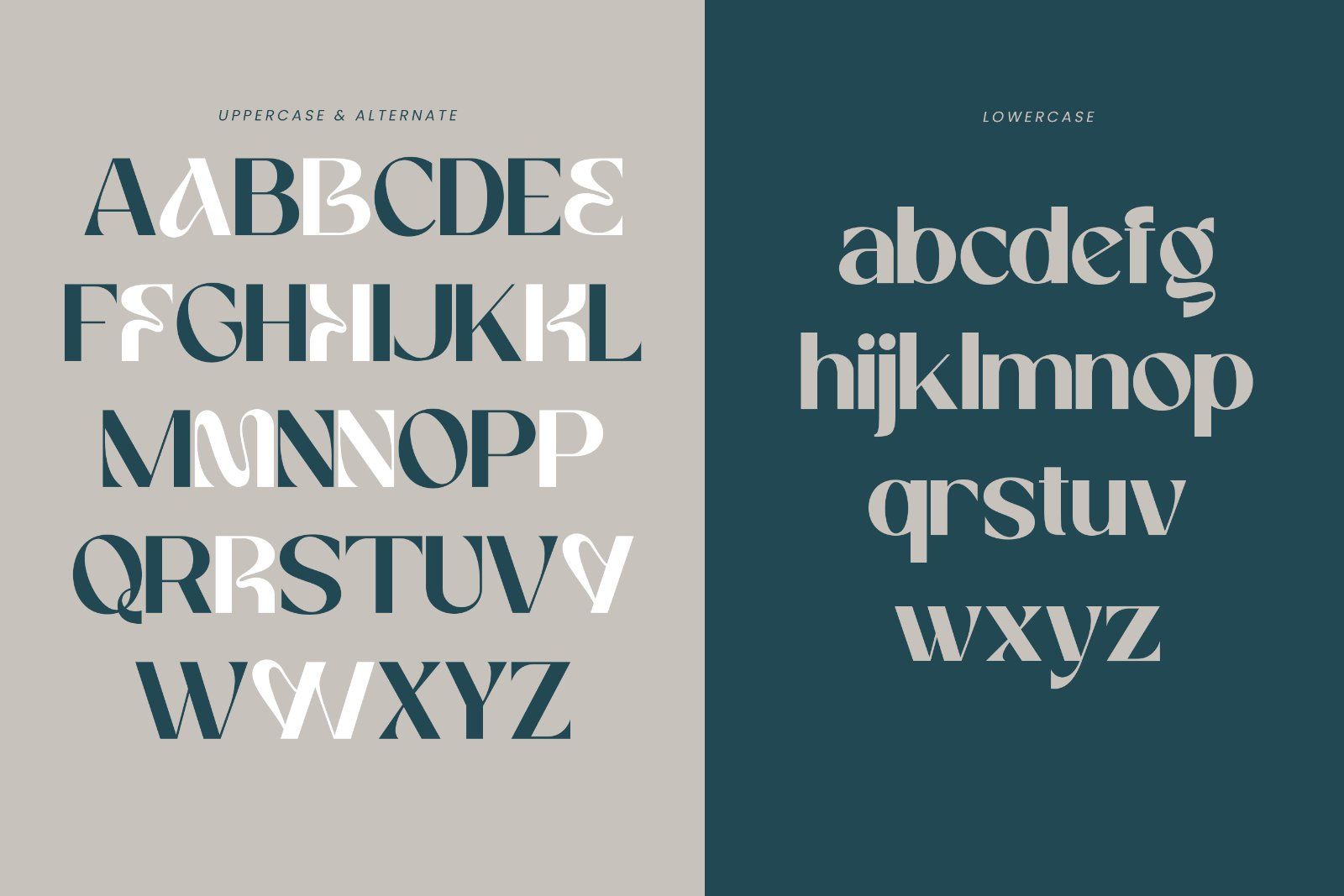 Megante | Elegant Sans Serif Font with Alternates
