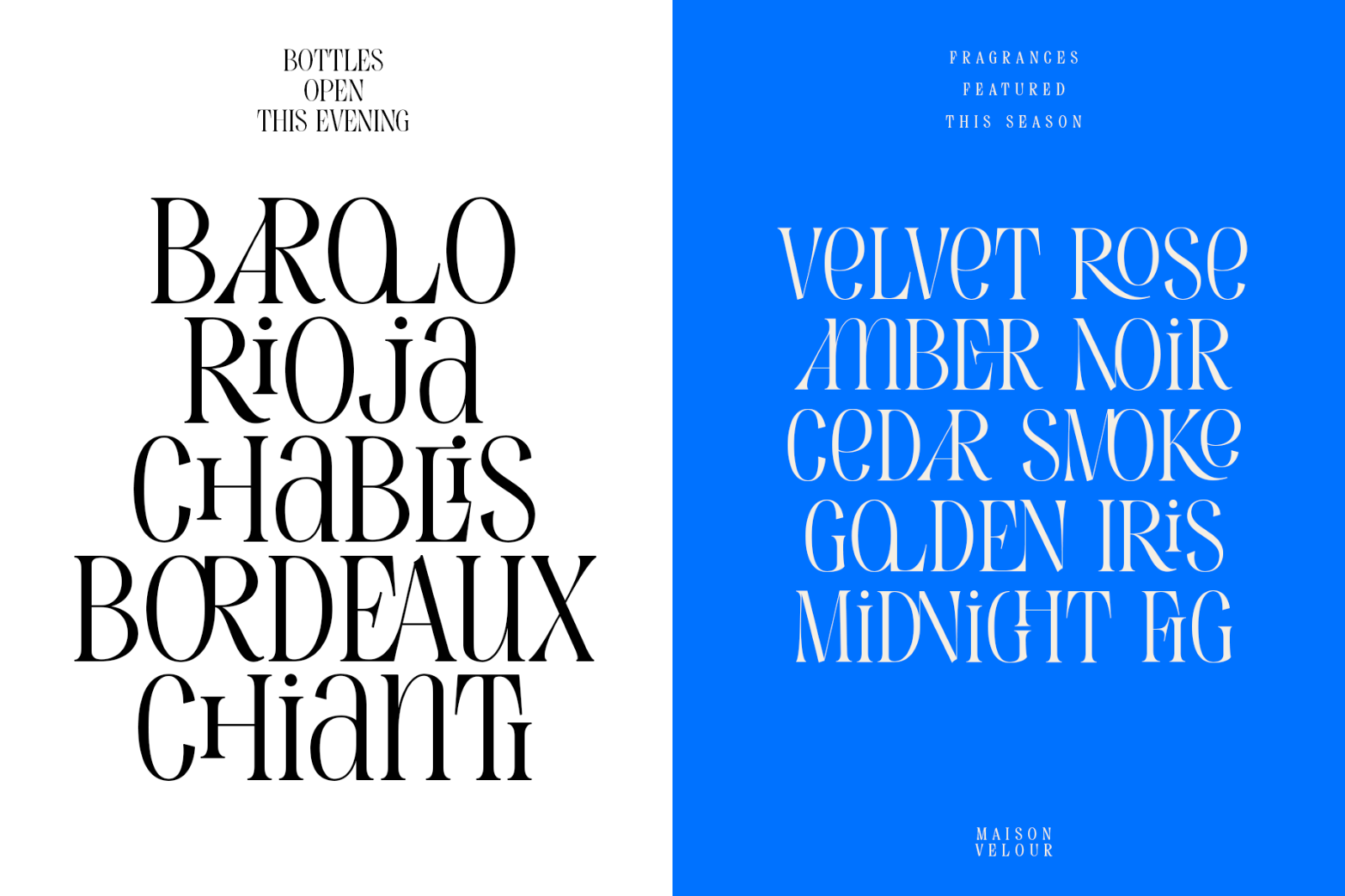 Evertype - Display Serif Font Family — image 7