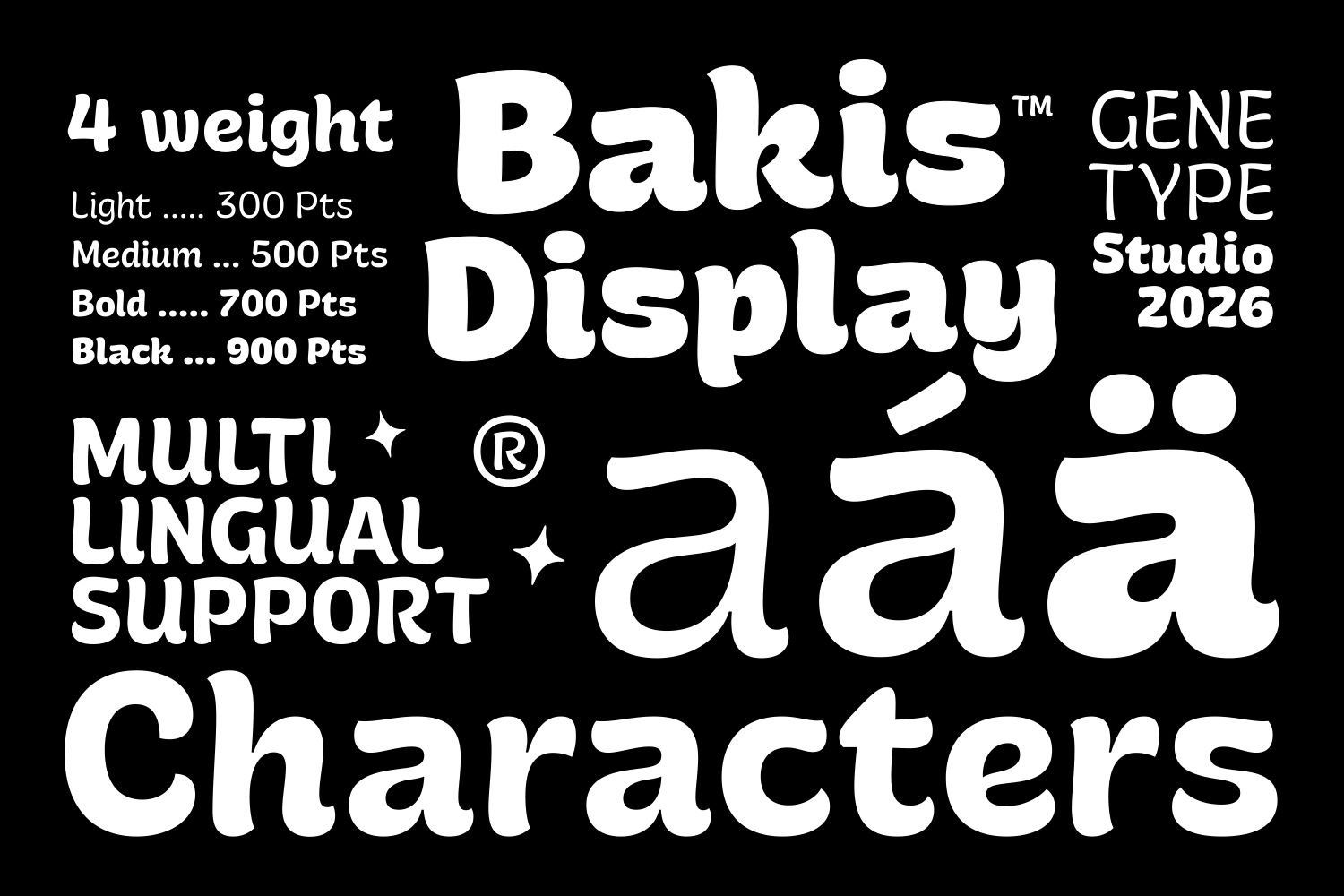 Bakis Display Font — image 7