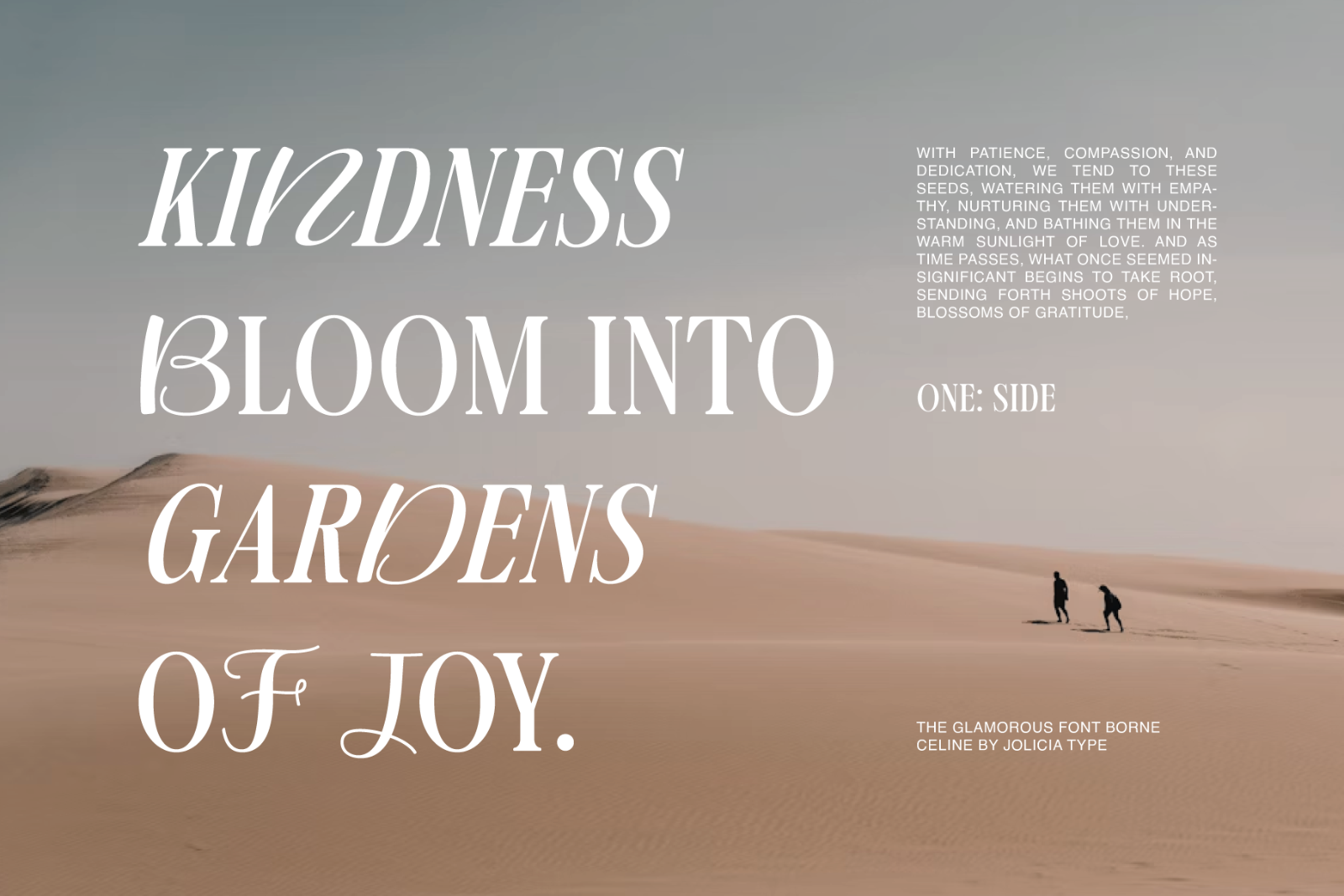 Borne Celine | Modern Display Font — image 8