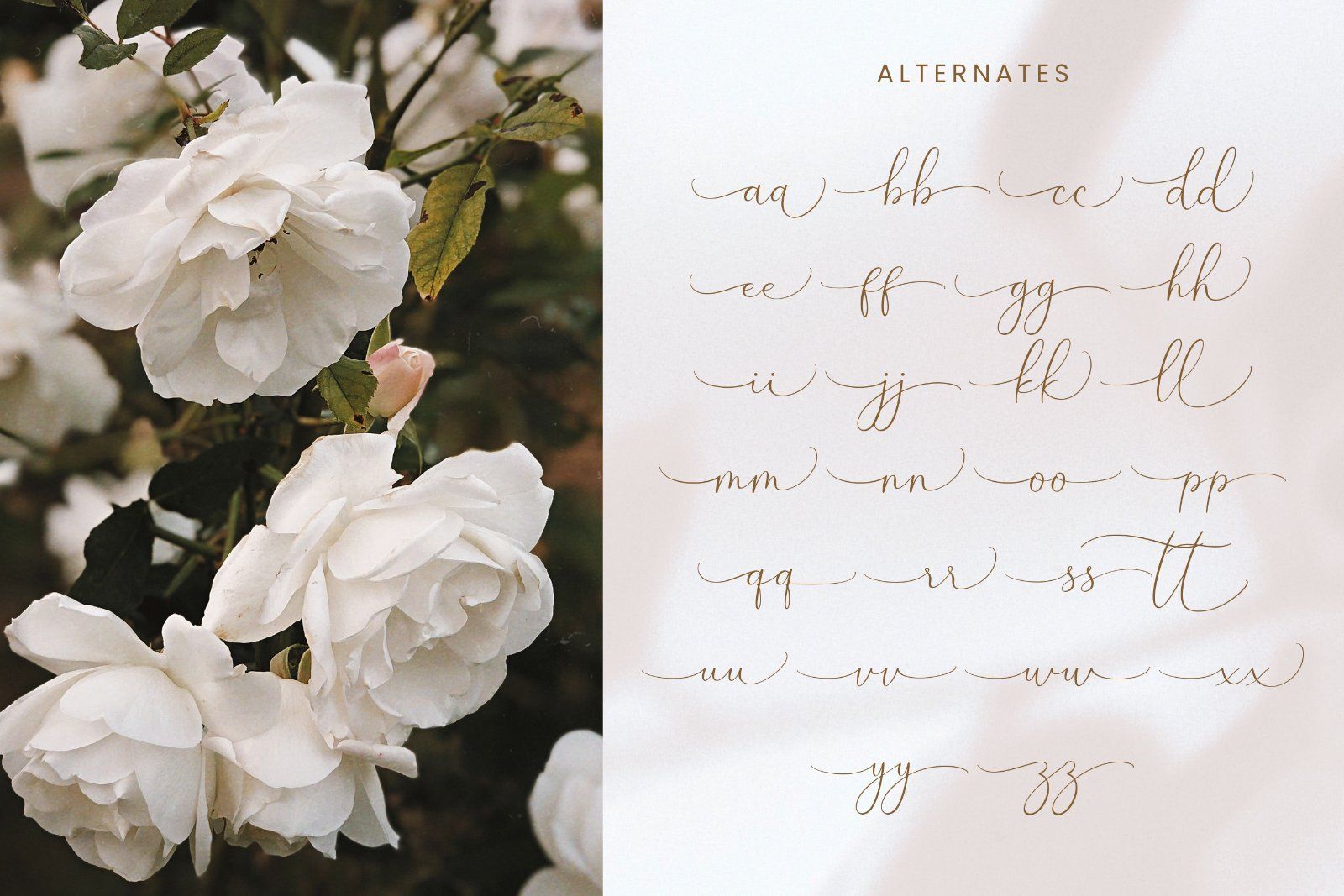 Denara - Elegant Handwriting Font — image 9