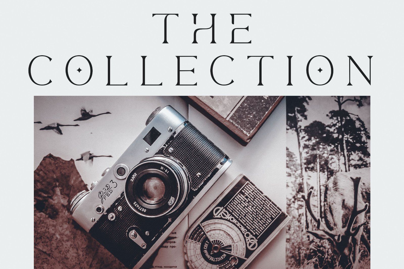 Thorin - Modern Serif Font — image 5