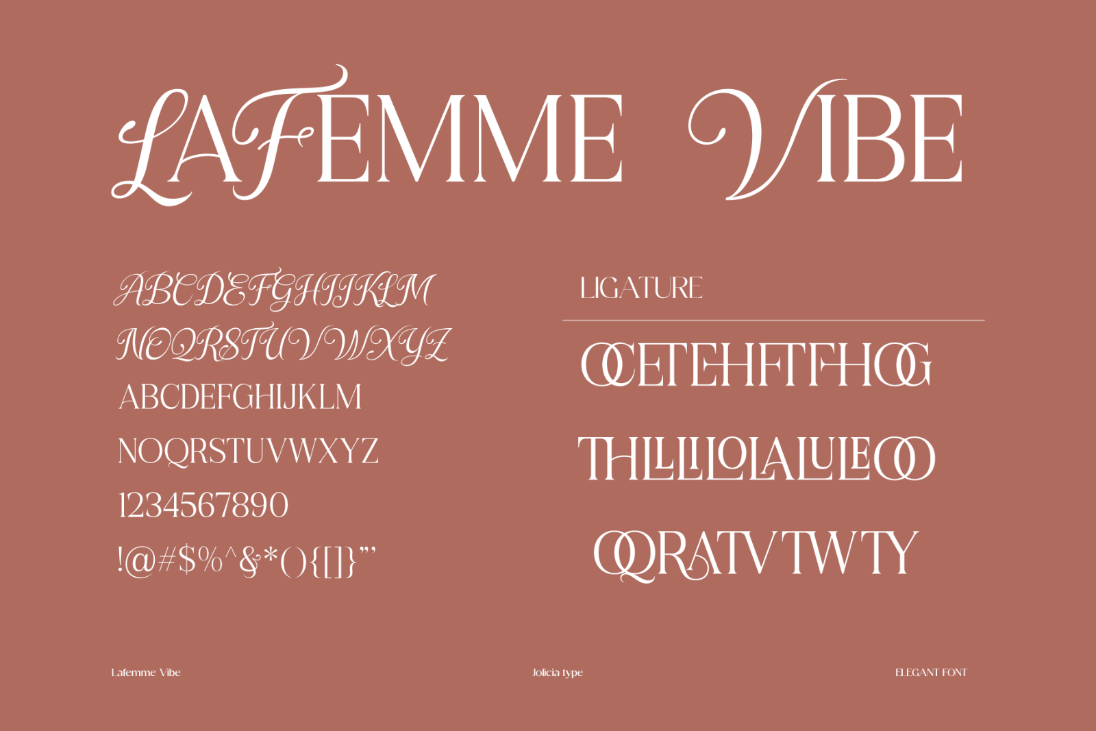 La Femme Vibe | Serif Font — image 8