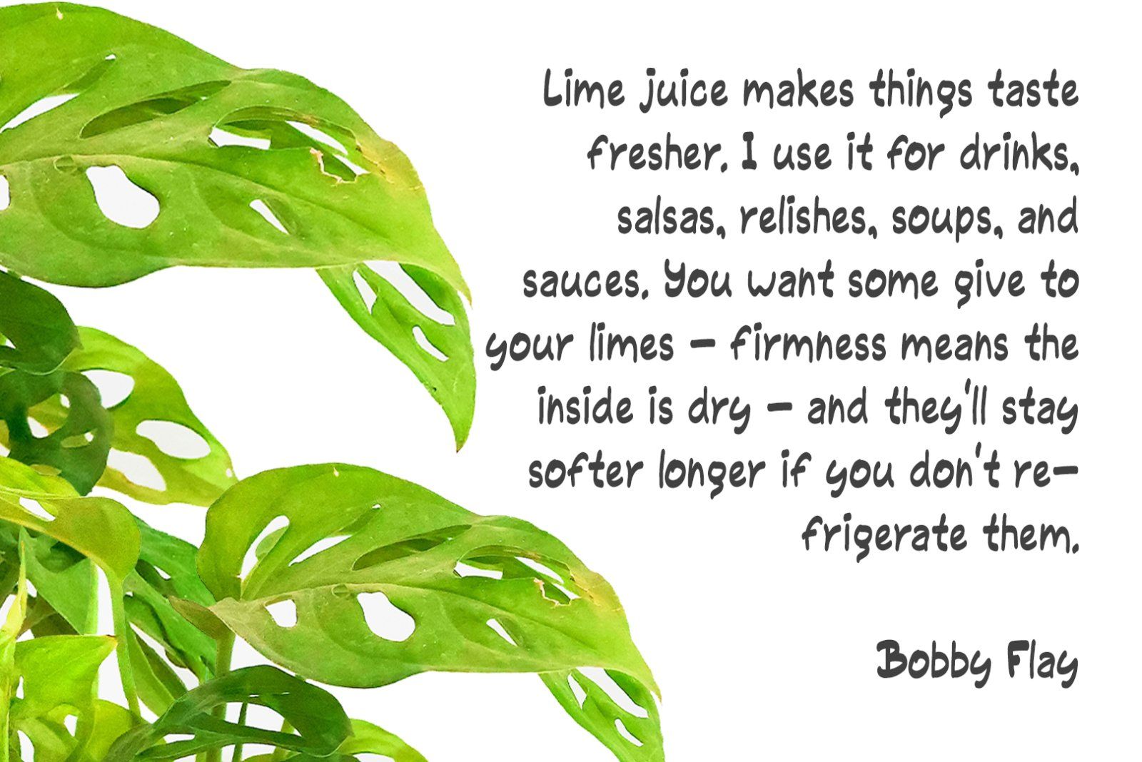 Banolime - Cute Font — image 7