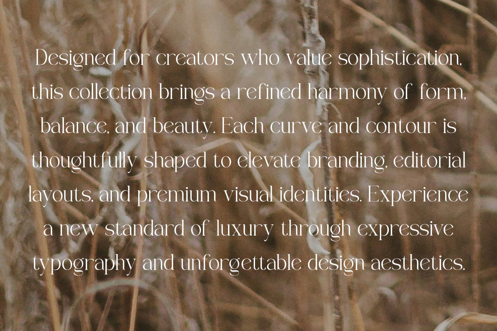 Galem | Elegant Serif