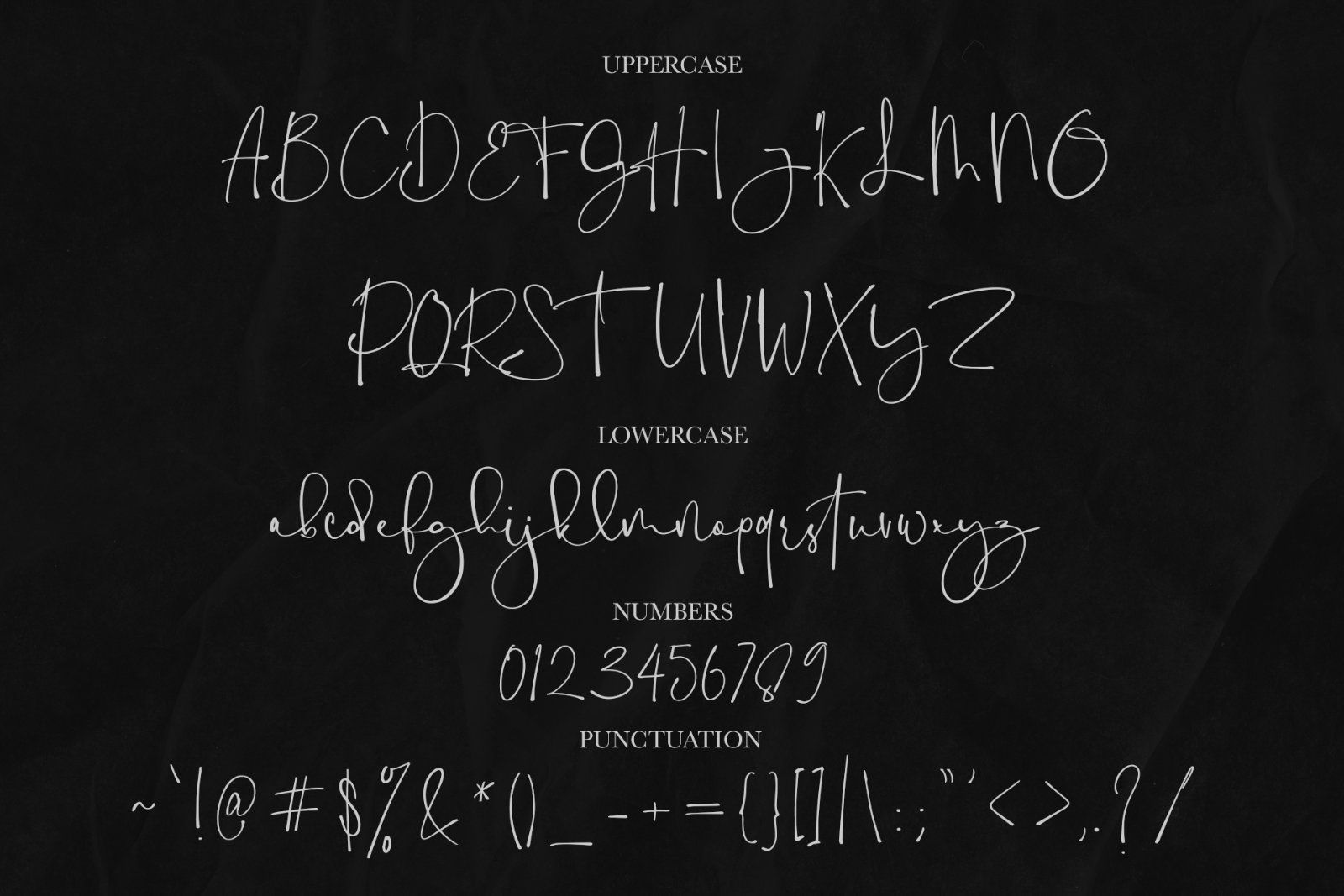 Holy Type | Handwritten Font