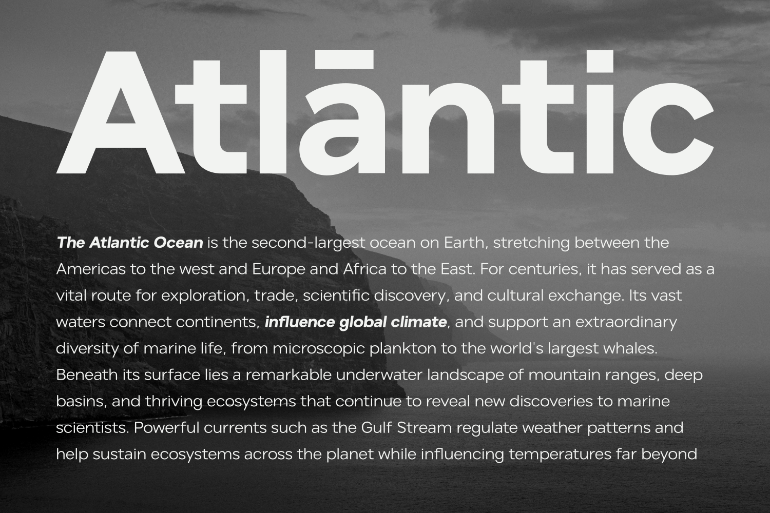 Aventina - Family Sans Serif Font — image 7