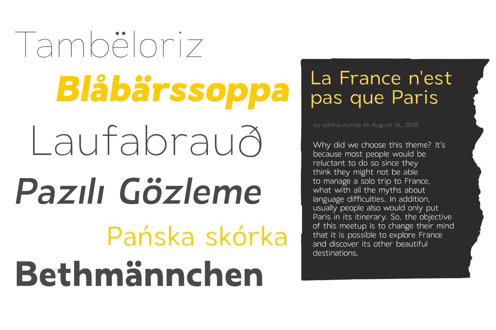 Laire Sans | 40 Font + Variable Font