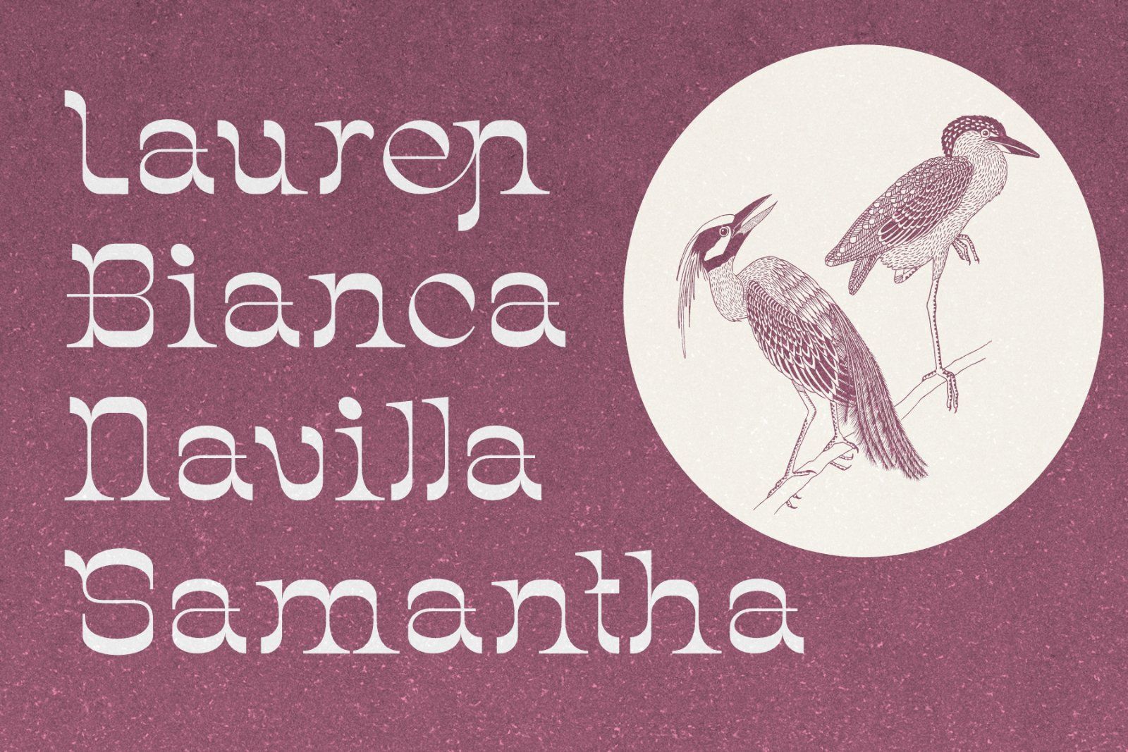 Chenta Font