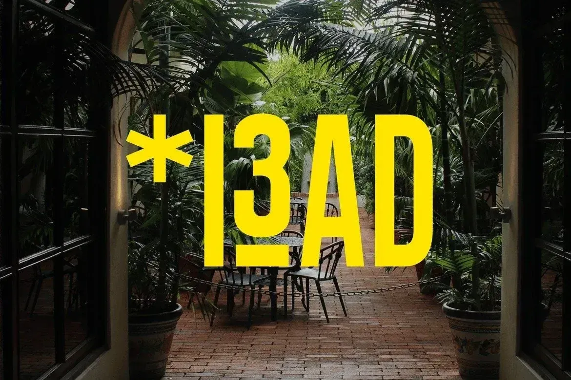Blandit Display — image 3