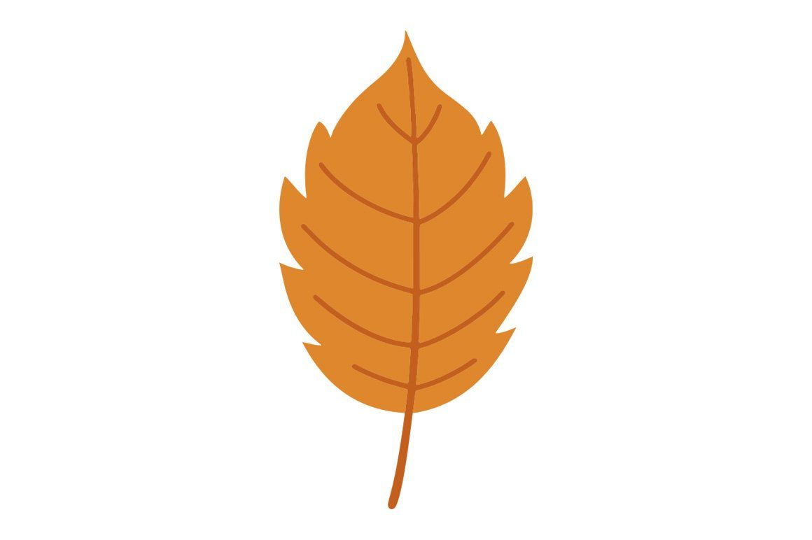 Autumn Leaves Vector Clipart Bundle — image 8