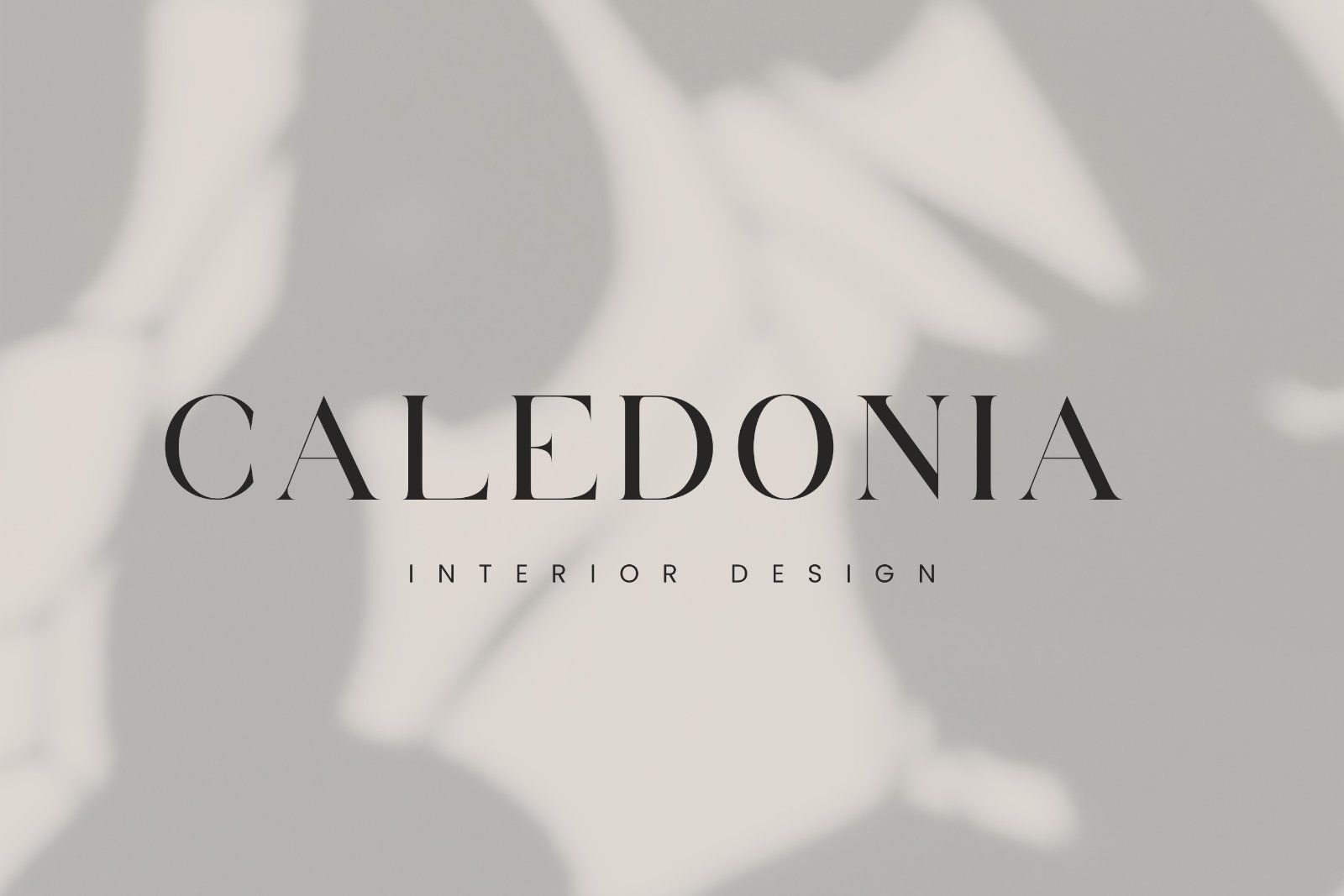 Volgarie - Modern Stylish Serif Font — image 4
