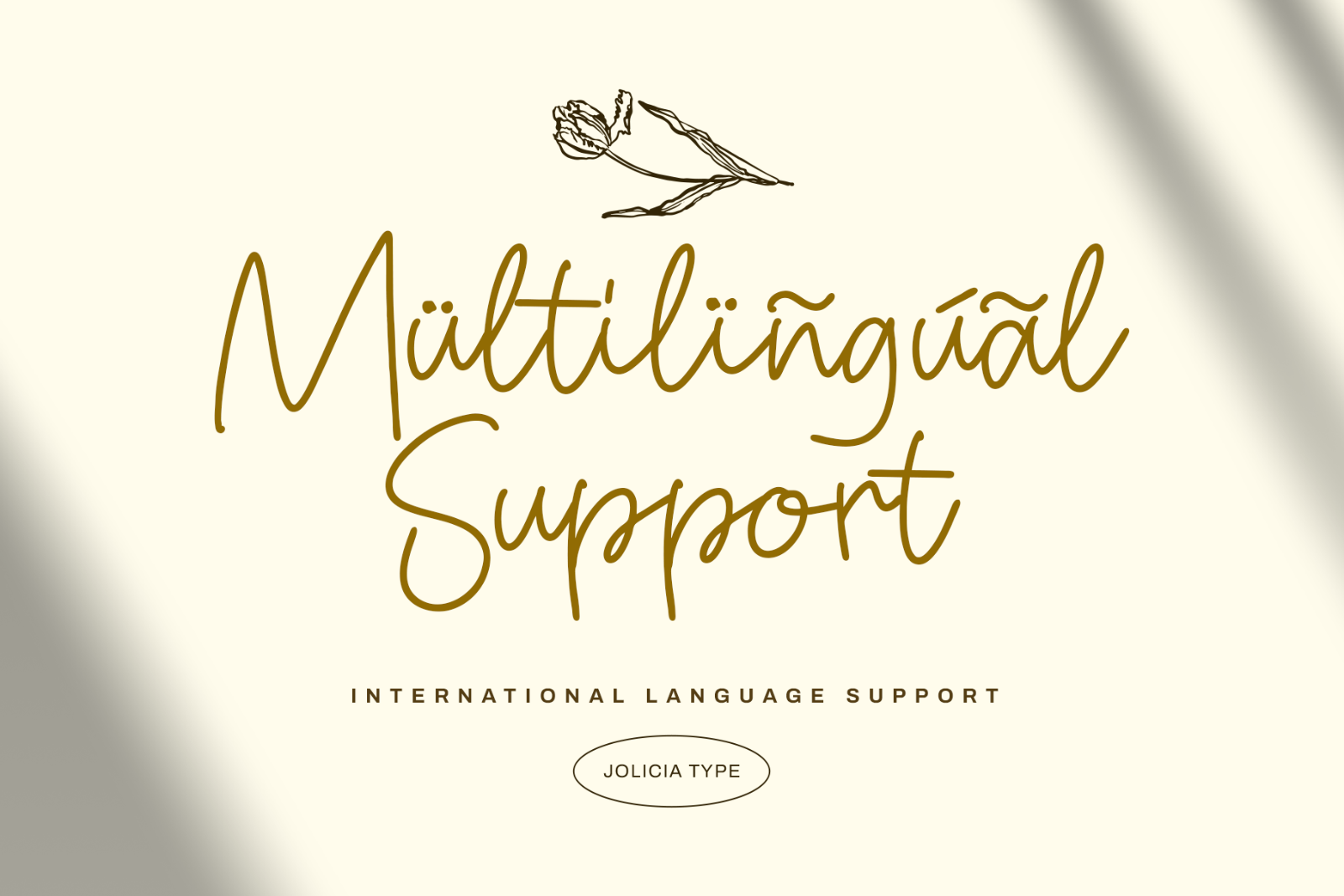 Amigos Line | Handwritten Font — image 8
