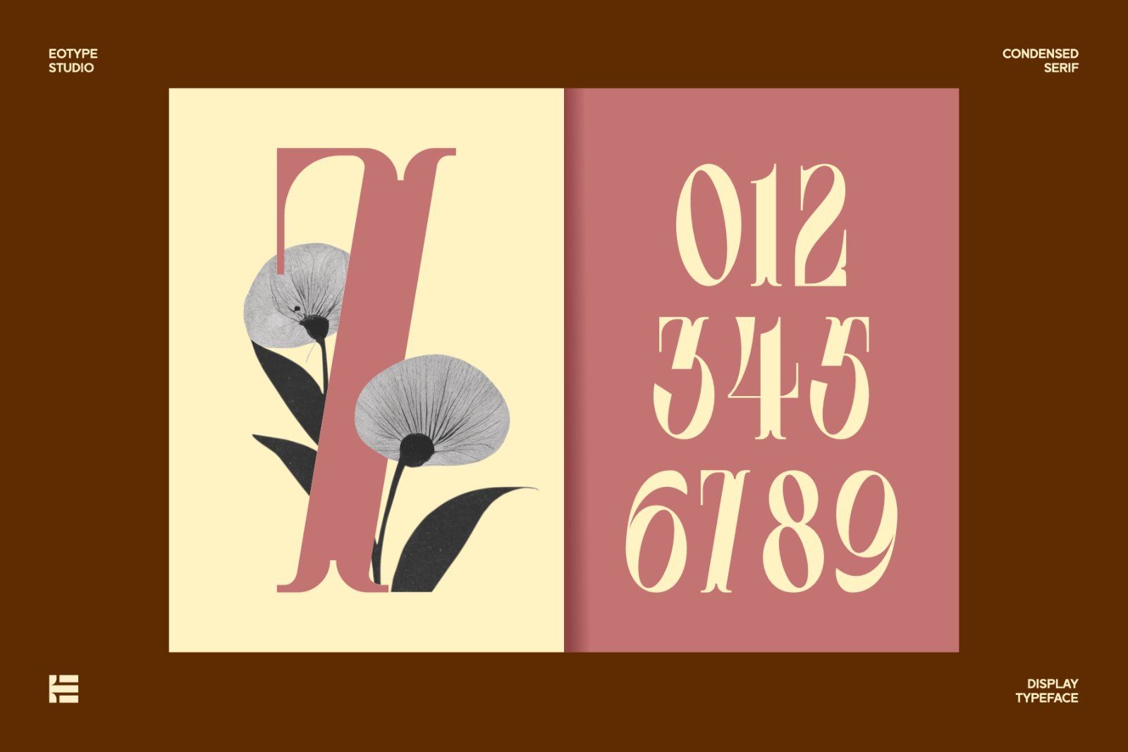 Leonice Font