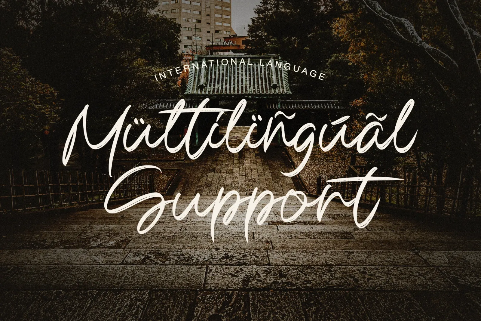 Madison Sauvage | Font Duo — image 8