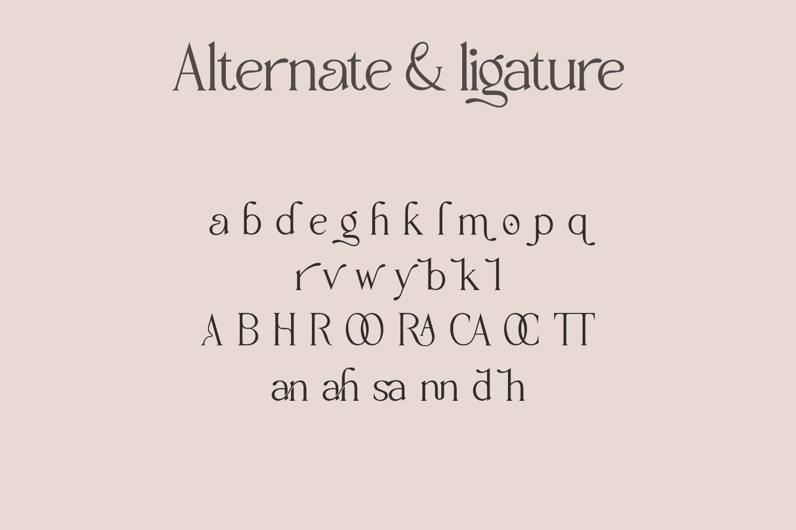 Magoa - Elegant Serif Font — image 10