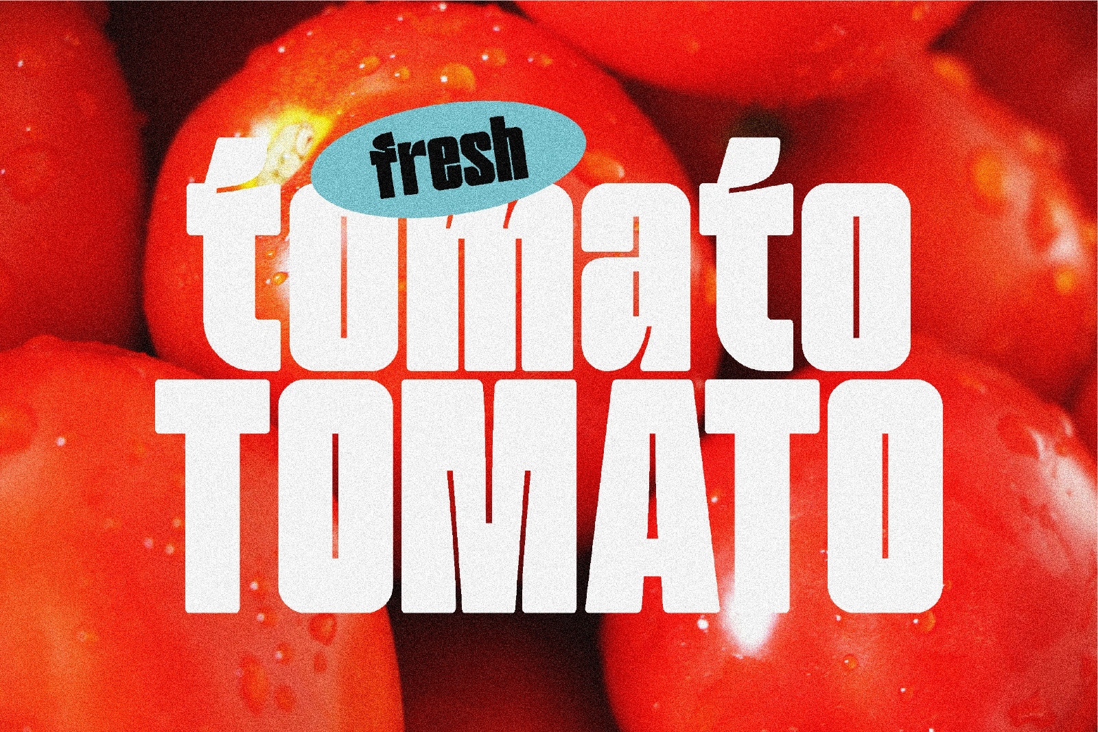 Tomato Bold — image 8