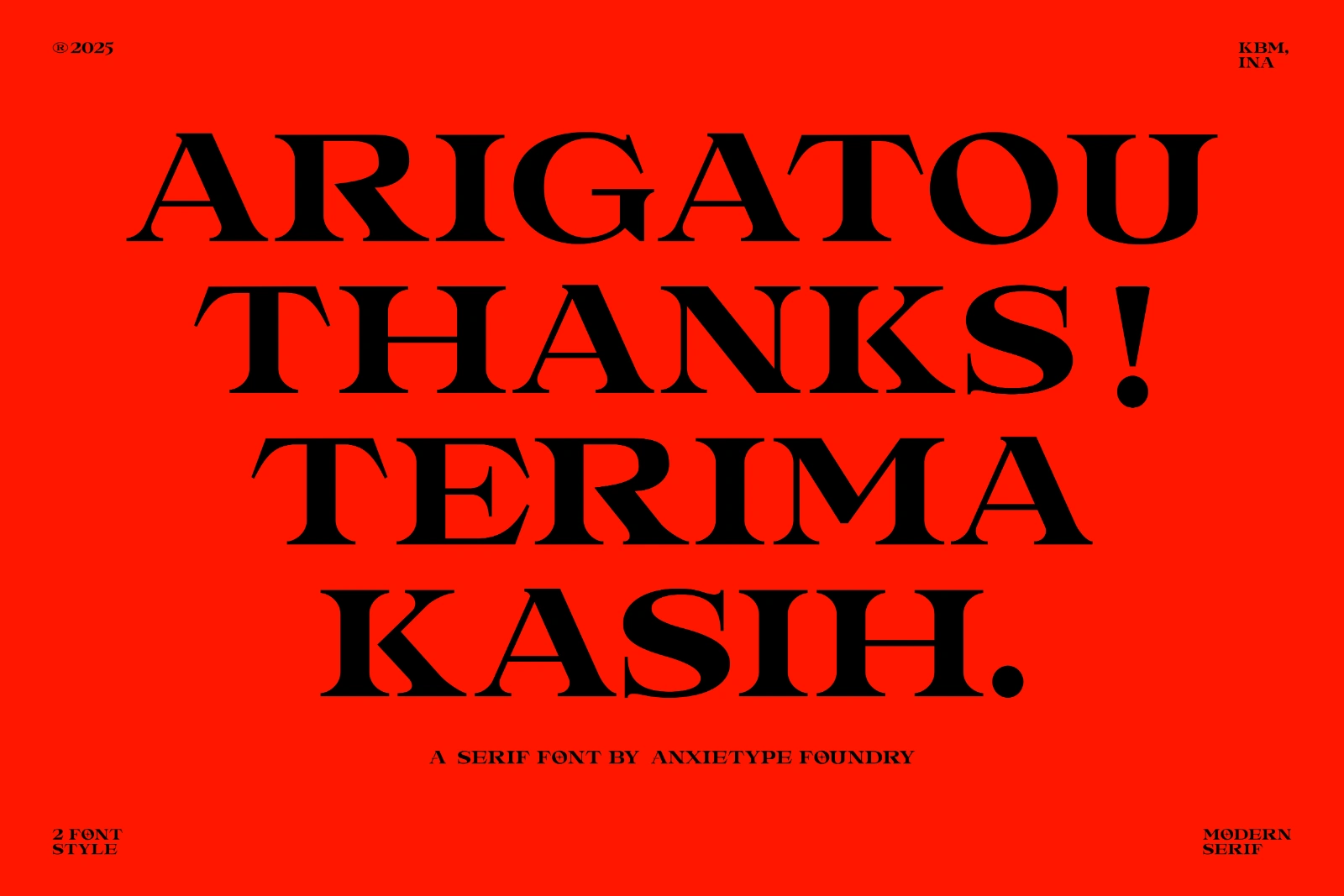 LANDMINE - DISPLAY SERIF — image 7