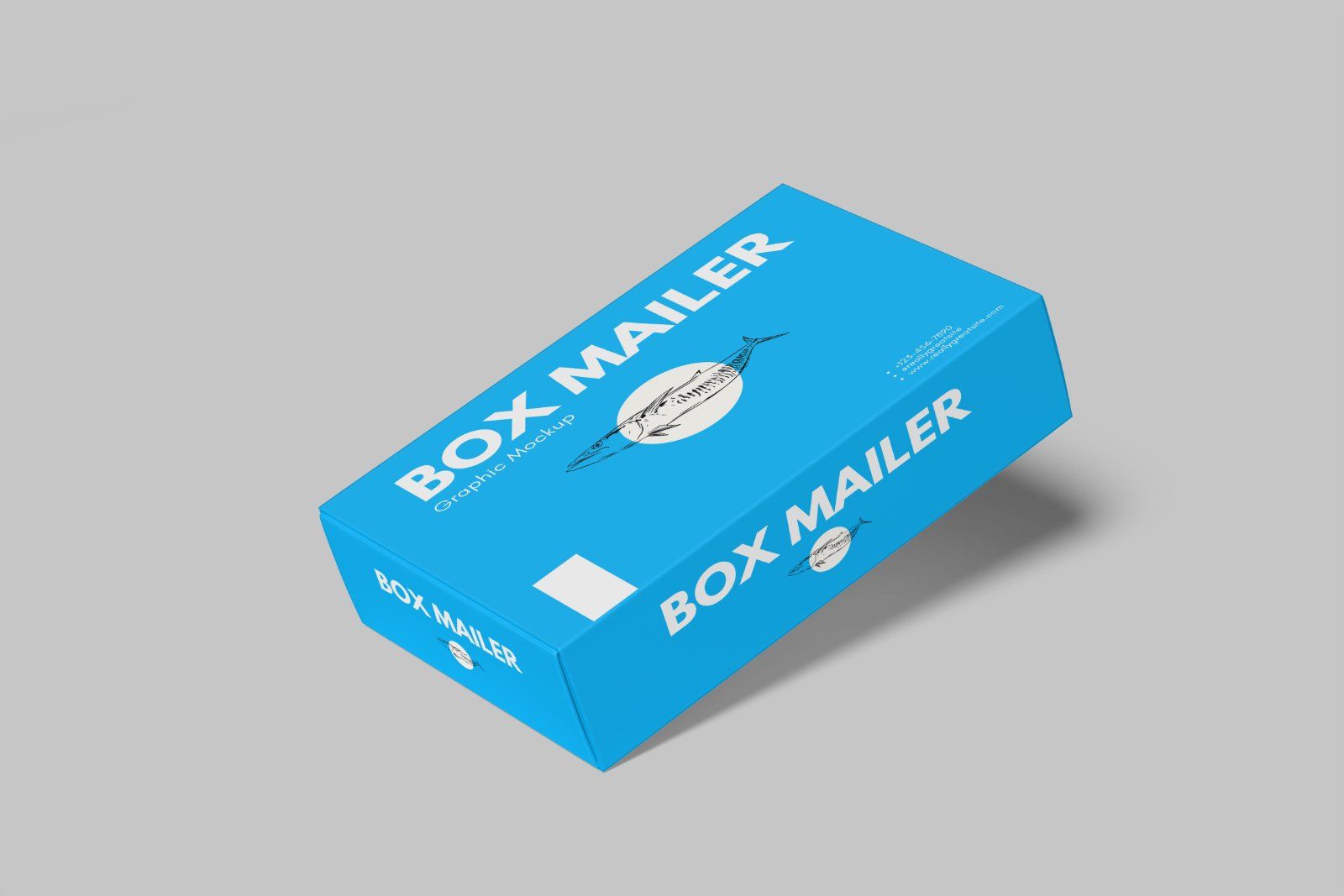 Mailer Box Mockup