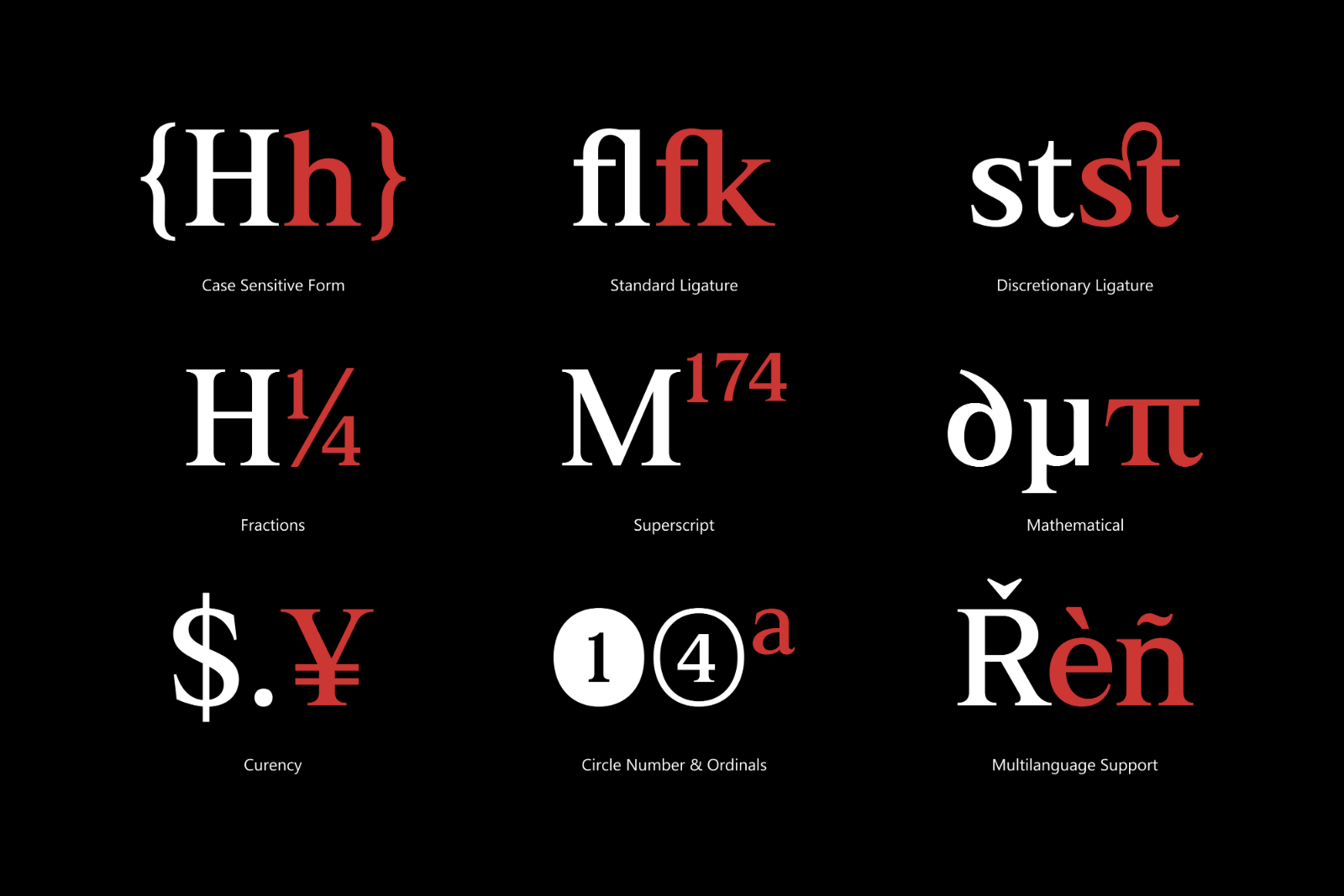 Rhimen - Serif Font Family — image 9
