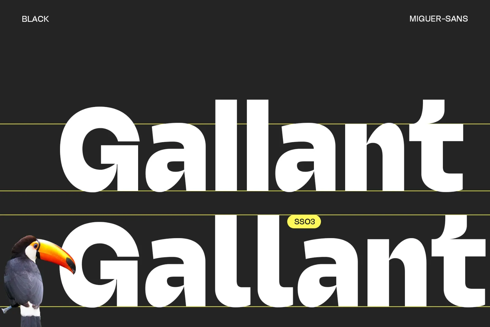 Miguer Sans | Contrast Sans — image 8