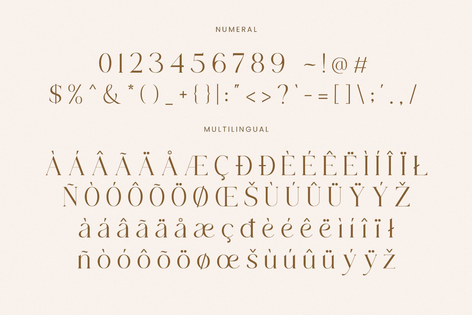 Mogan - Modern Serif Font — image 8