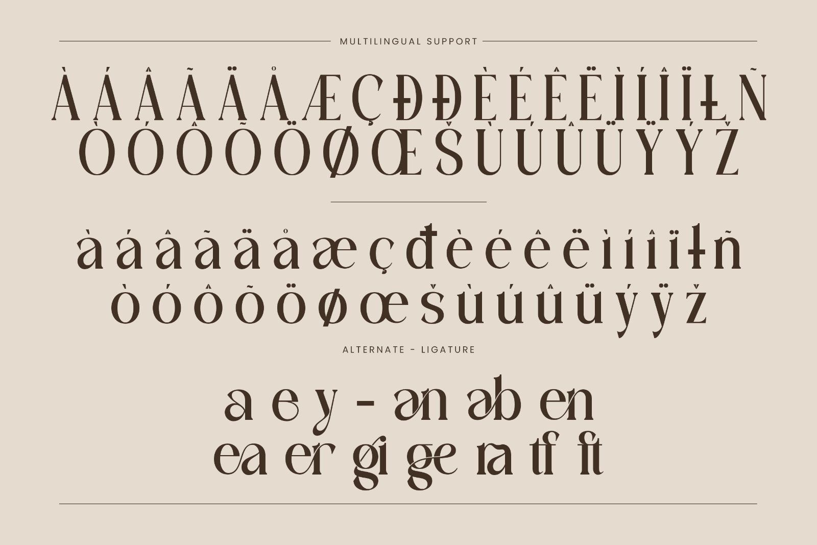 Agifter | Elegant Serif Typeface