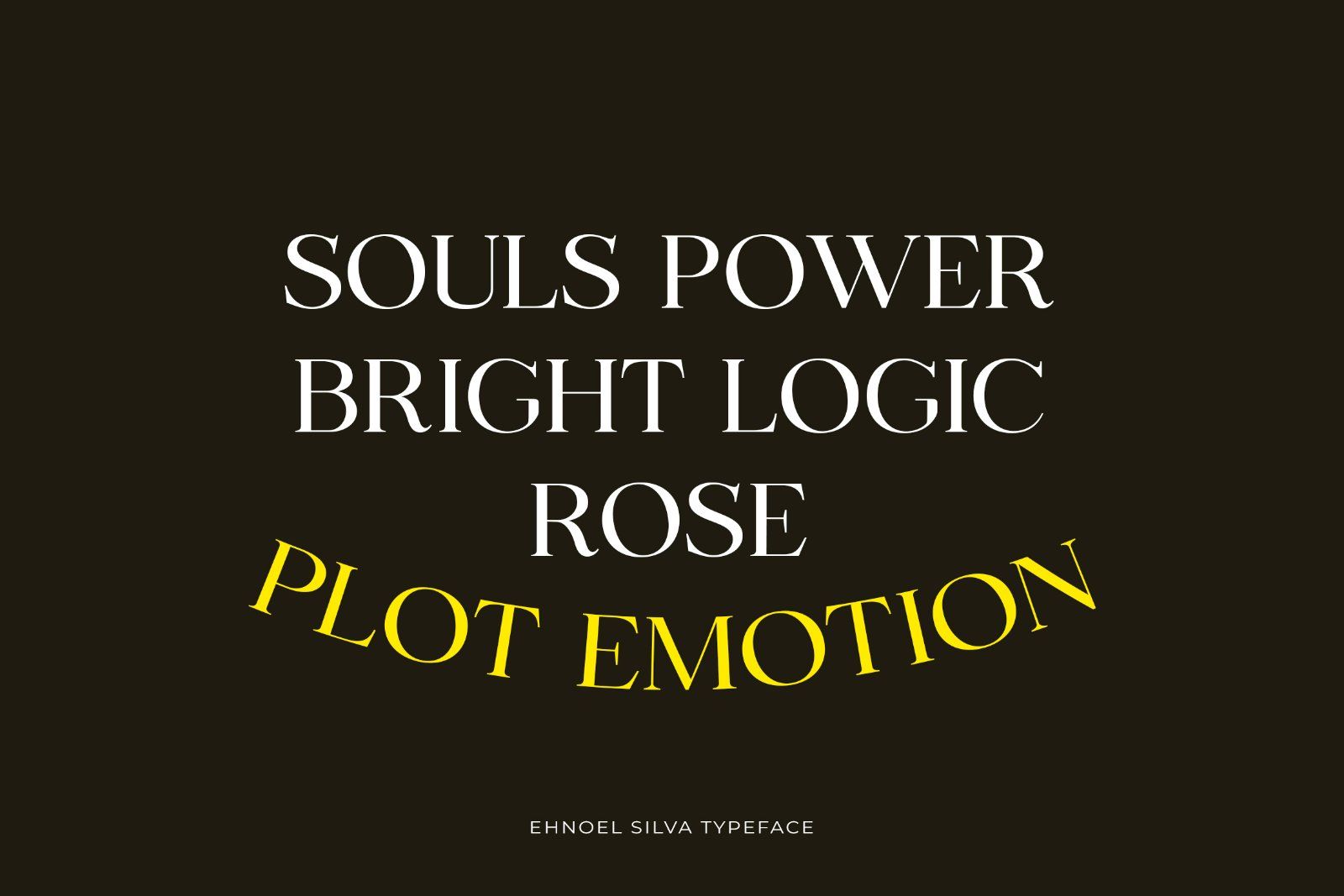 Ehnoel Silva - Minimal Luxury Serif Font — image 9