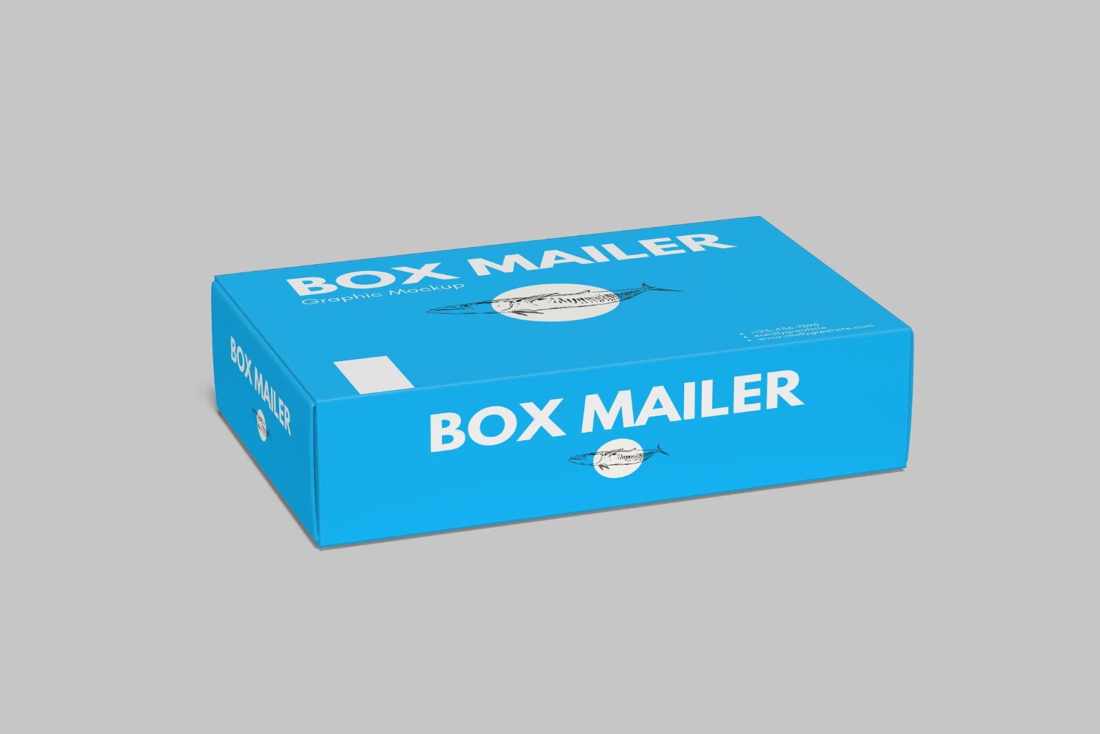 Mailer Box Mockup