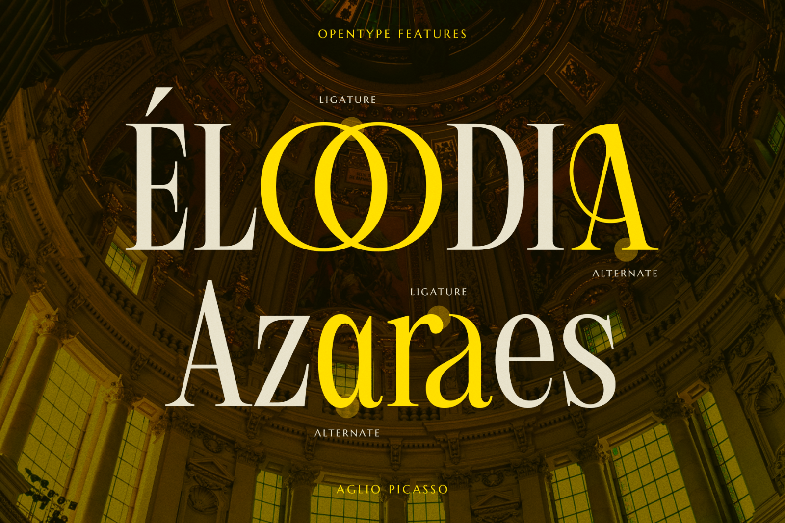 Aglio Picasso | Aesthetic Vintage Serif Font — image 9