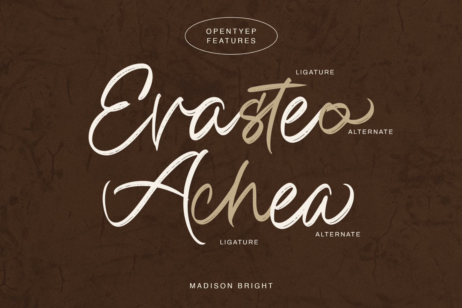 Madison Bright | Handwritten Vintage Brush Font — image 9