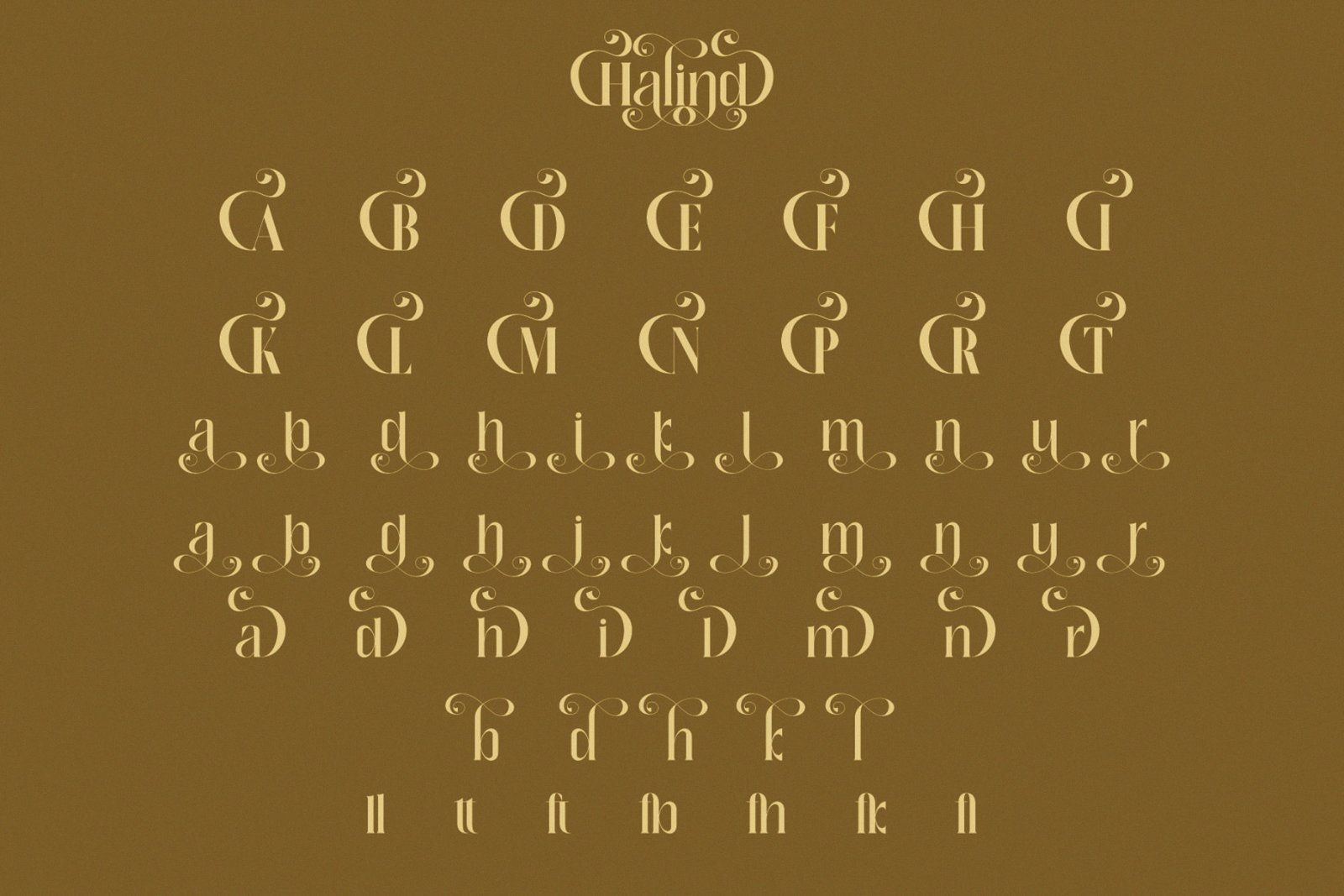 **Halind — Modern Elegant Serif Typeface** — image 9