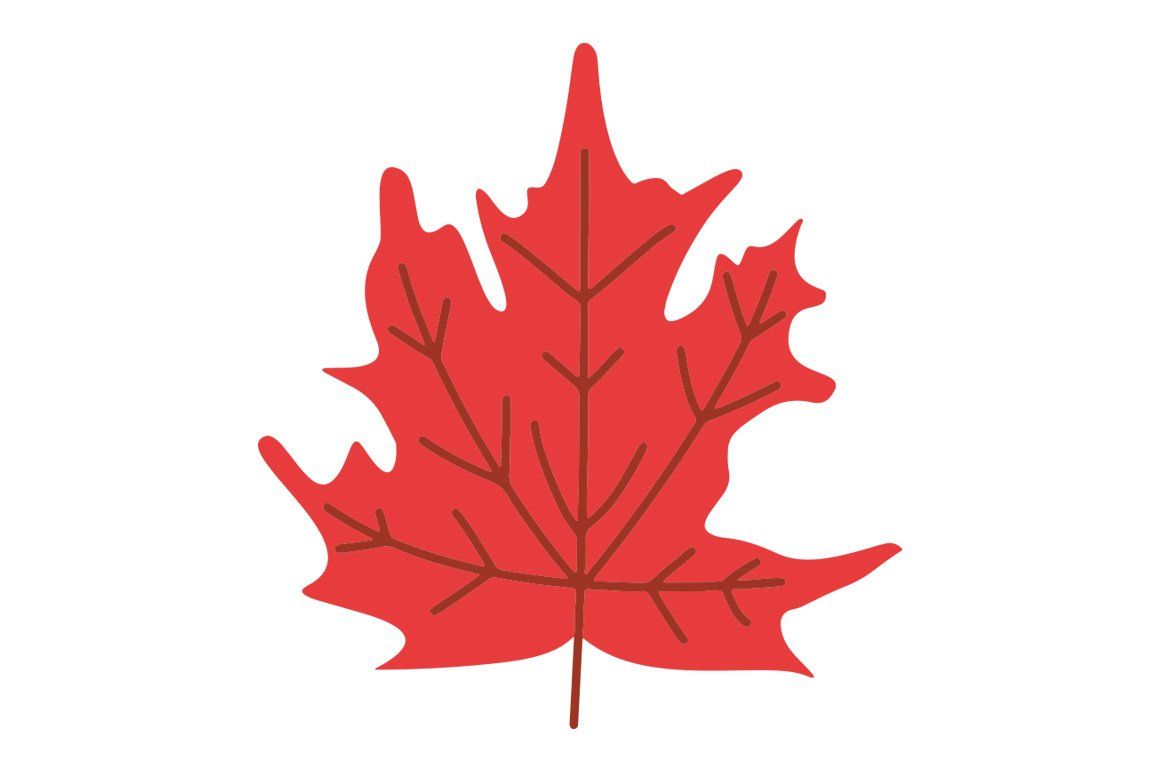 Autumn Leaves Vector Clipart Bundle — image 9
