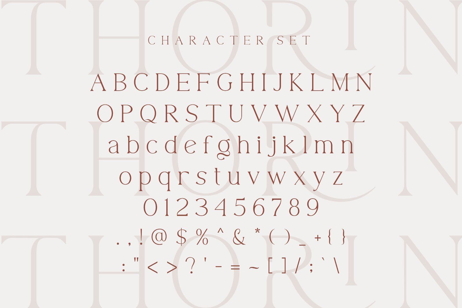 Thorin - Modern Serif Font — image 9
