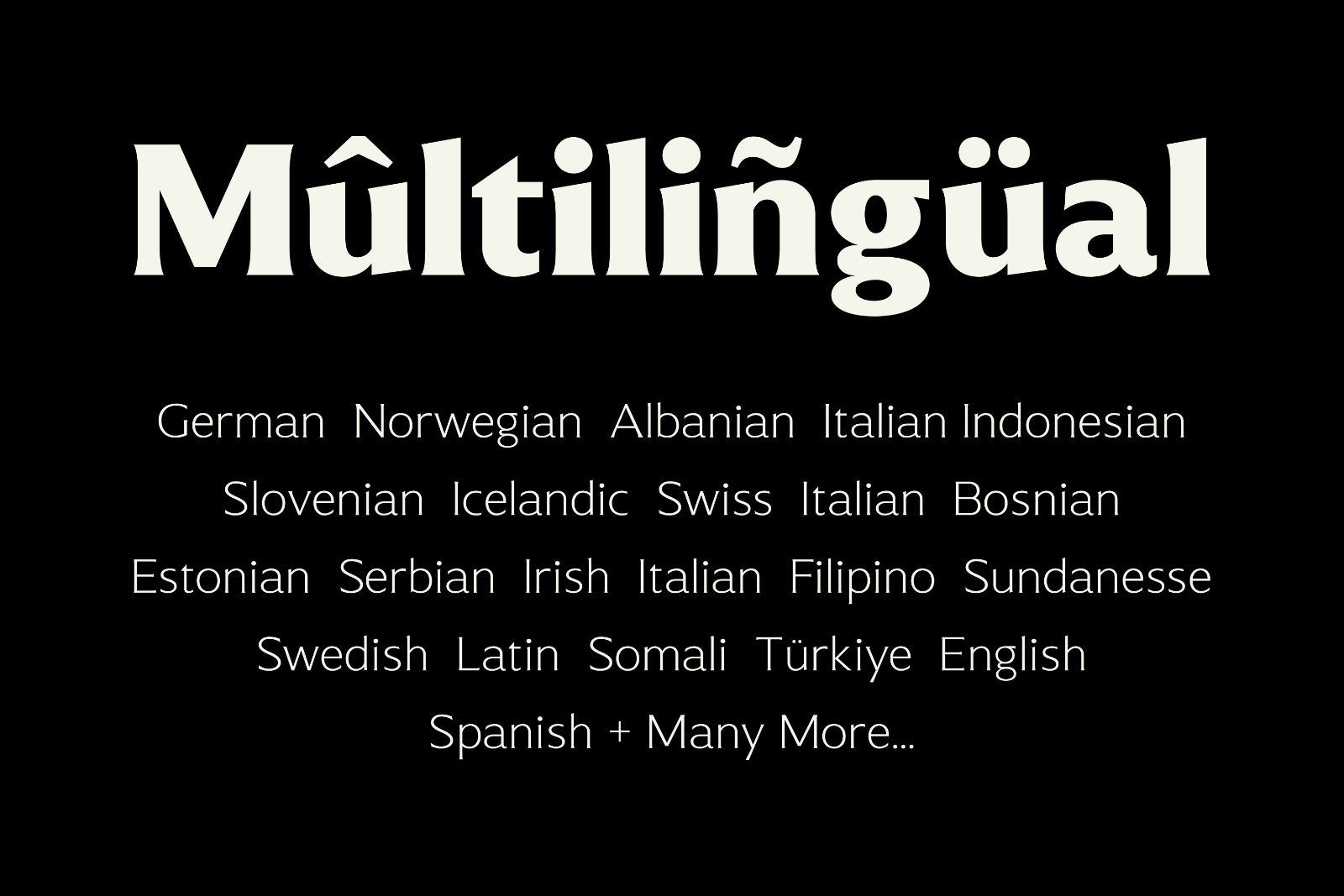 Muchino - Serif Family — image 8