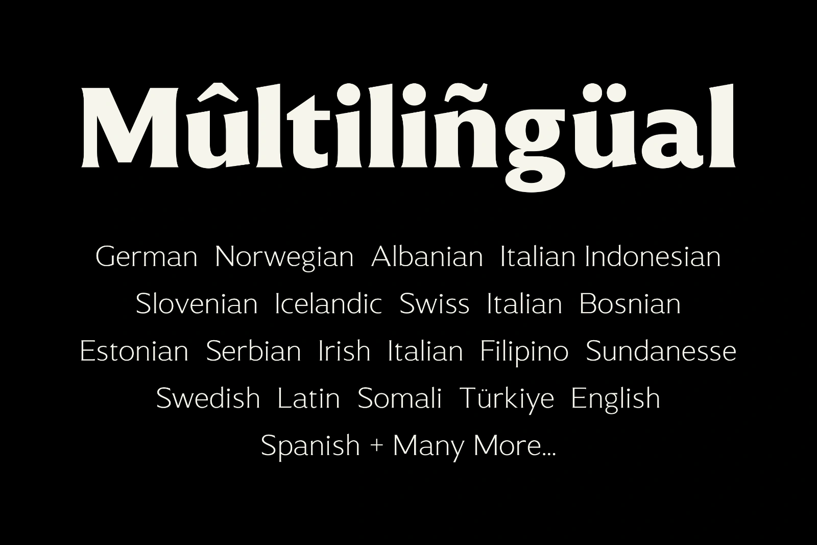 Muchino - Serif Family — image 8